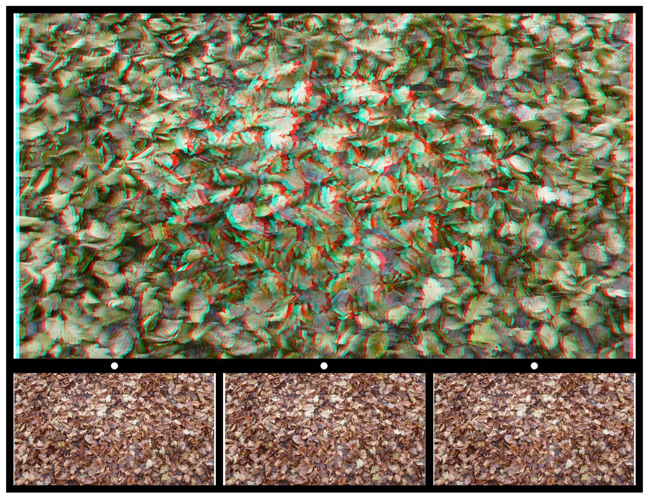 Vision 07 00078 g008