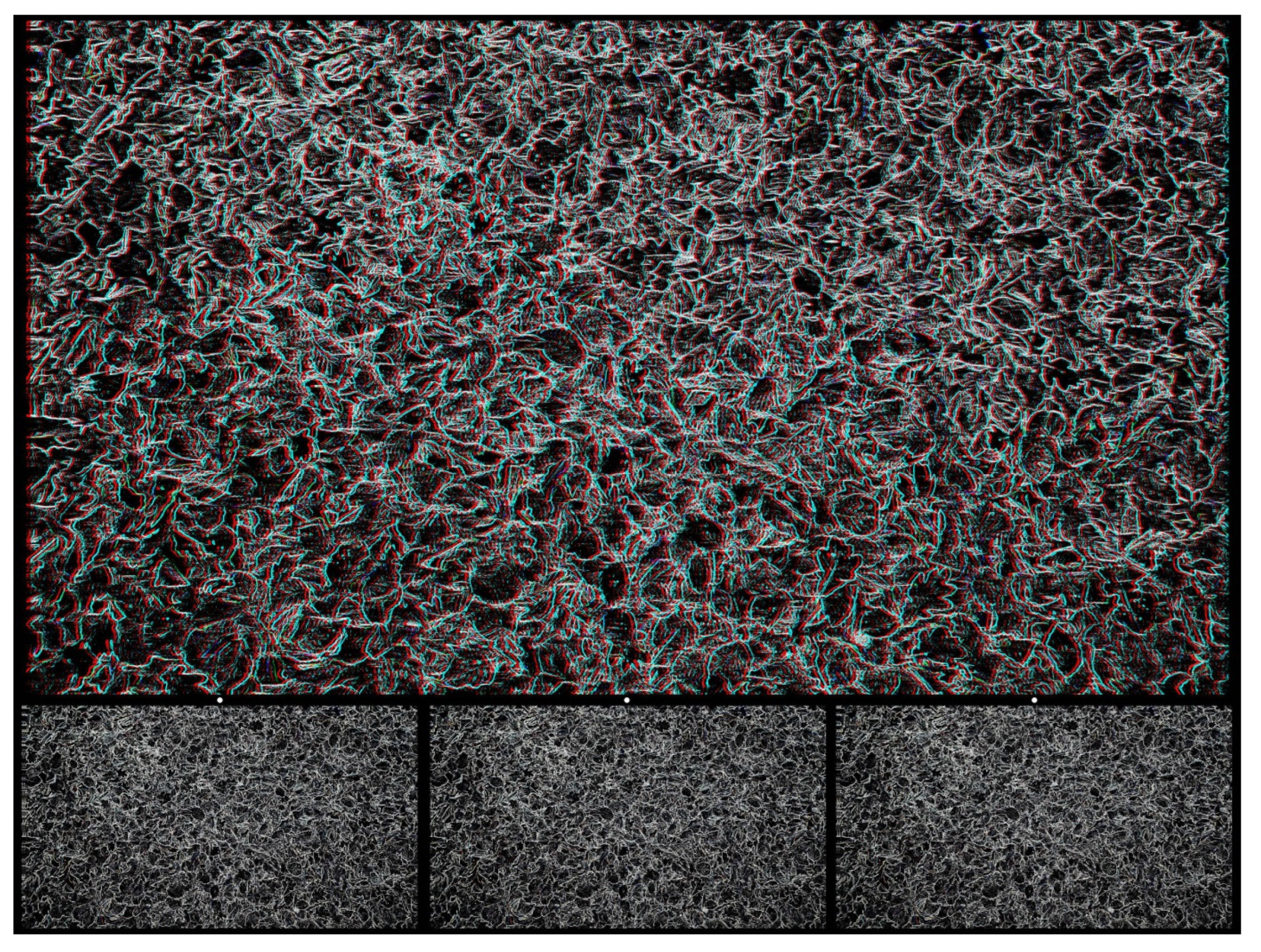 Vision 07 00078 g009