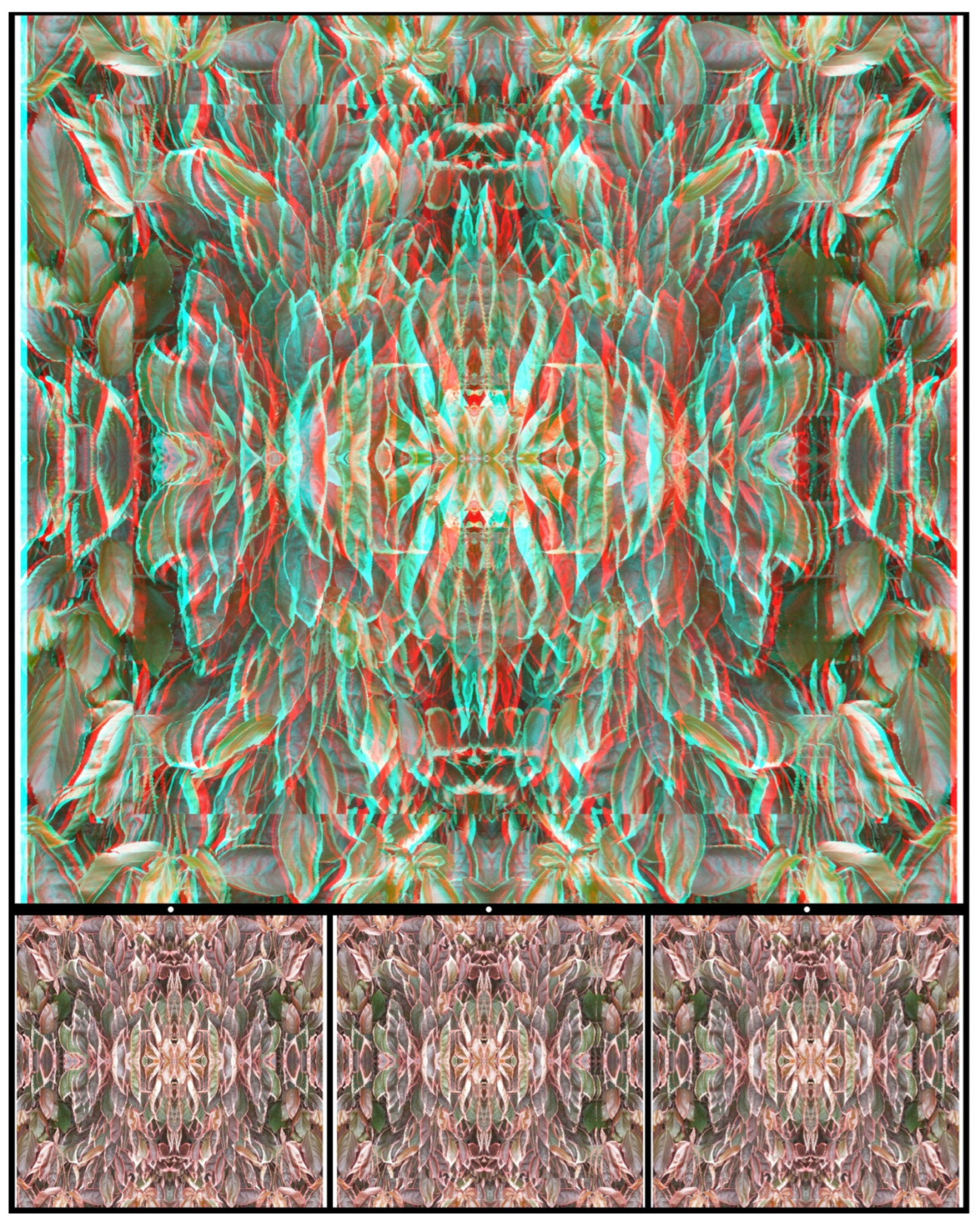 Vision 07 00078 g010