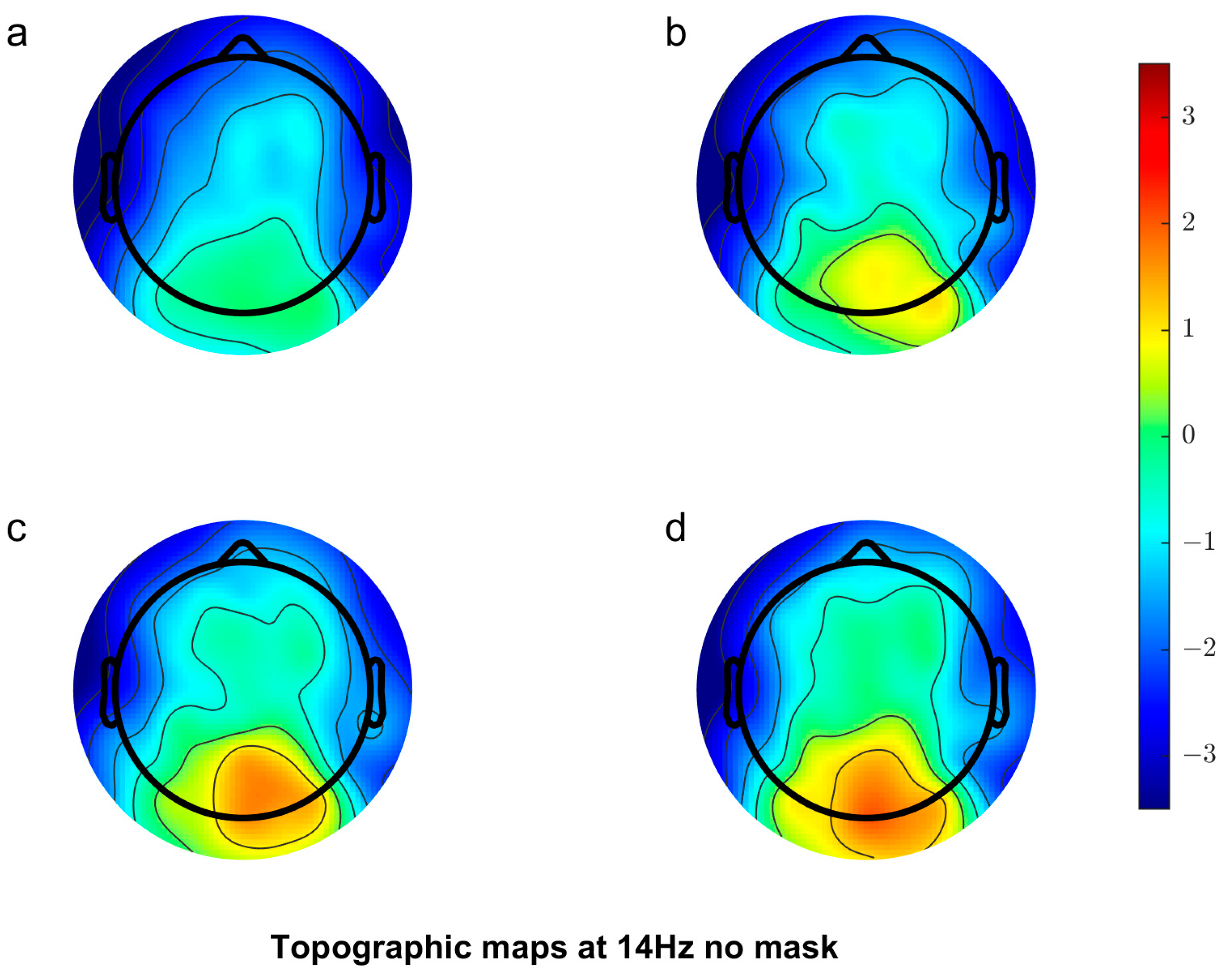 Vision 08 00002 g003
