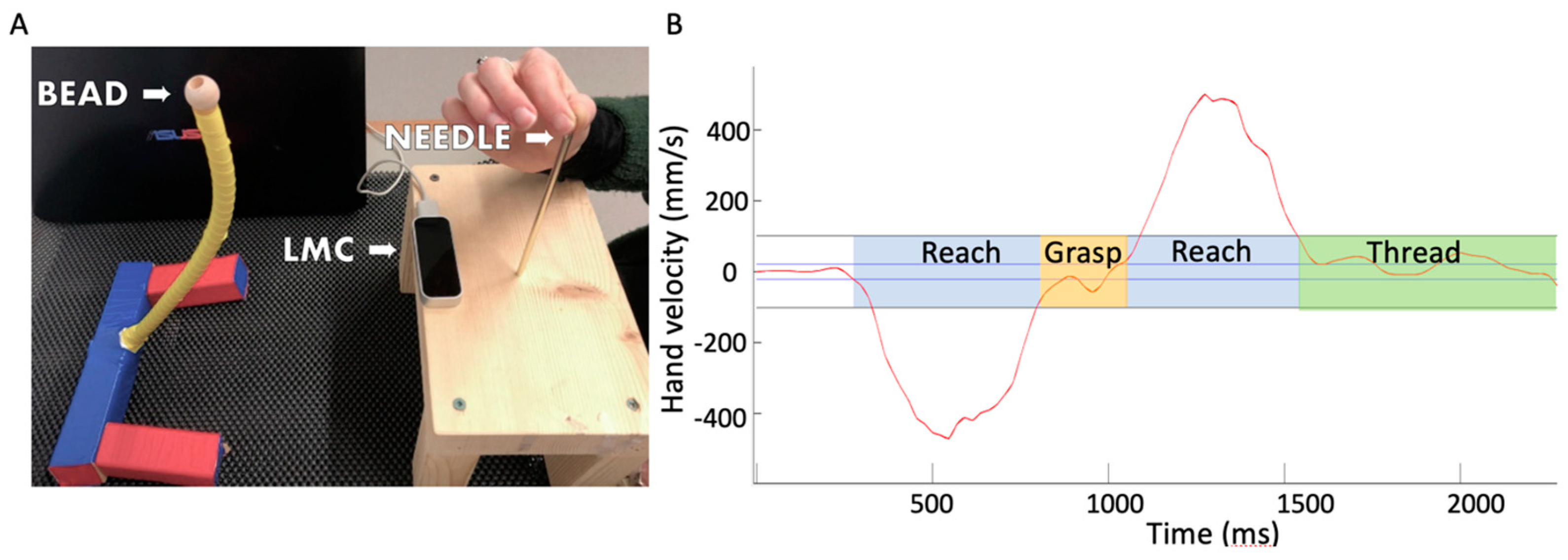 Vision 08 00006 g001