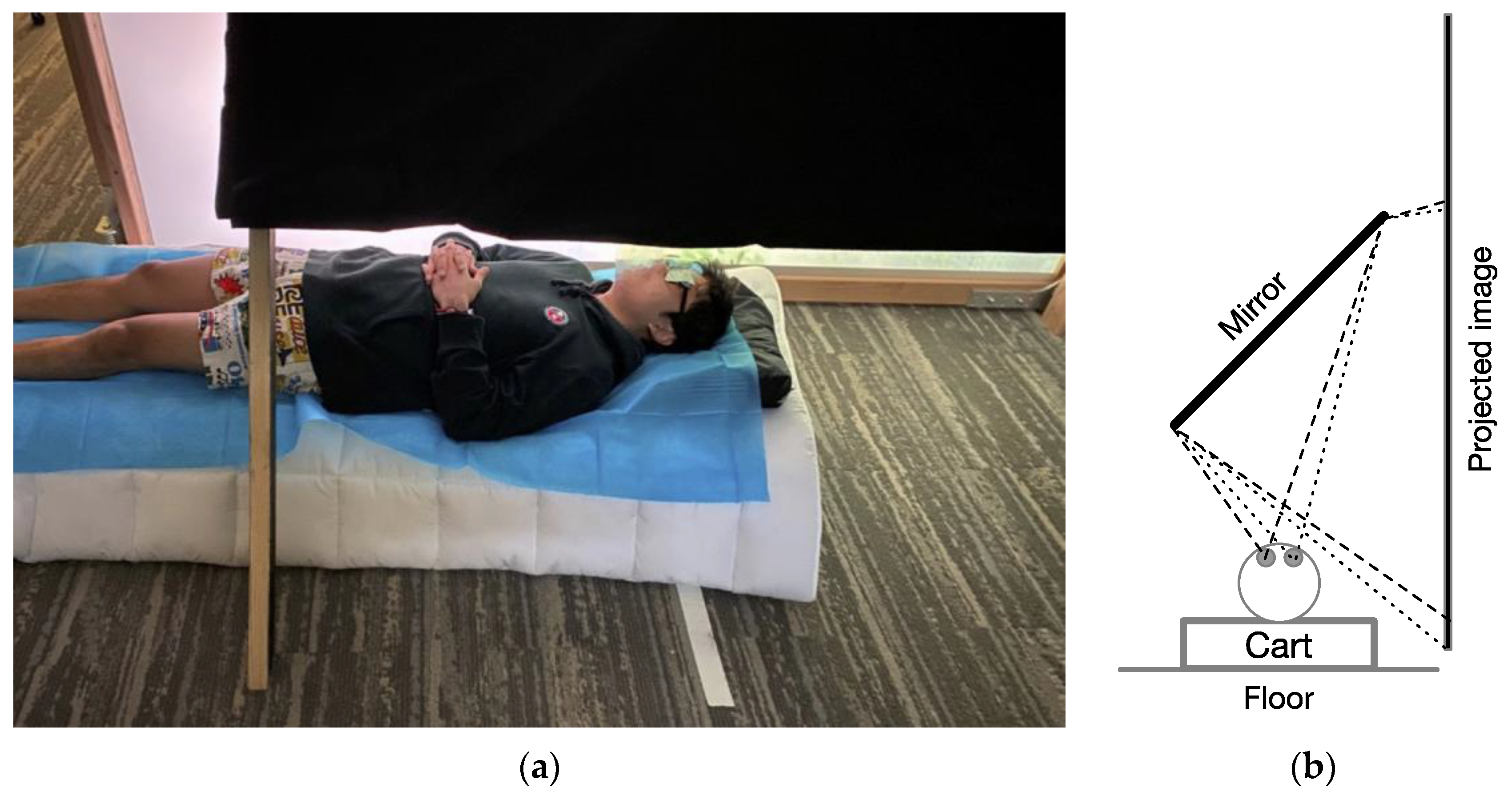 Vision 08 00007 g001