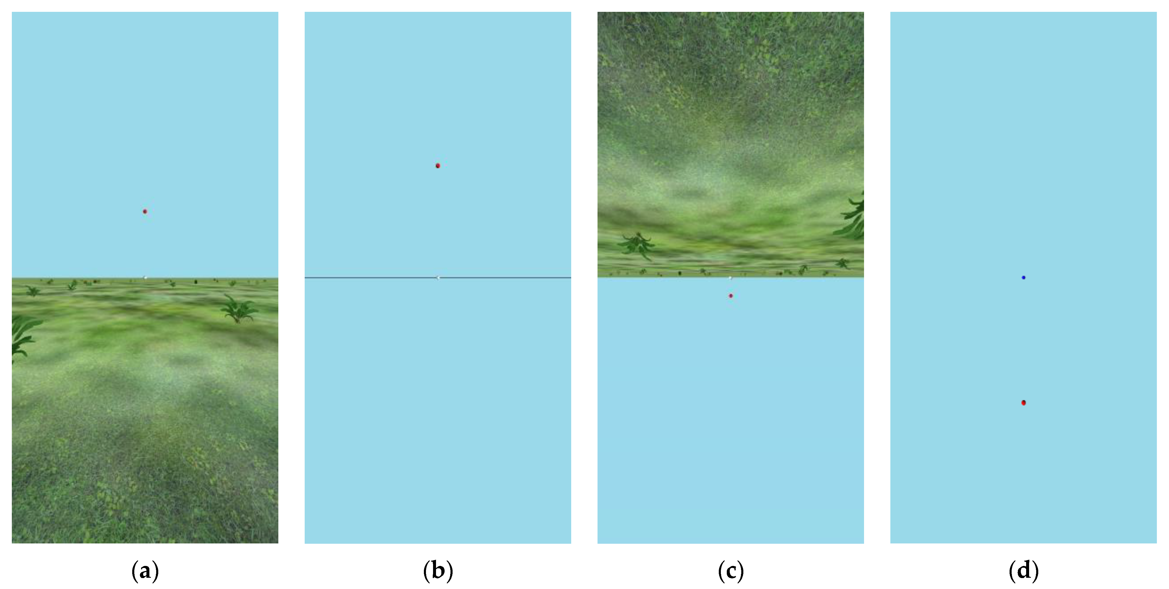 Vision 08 00007 g002