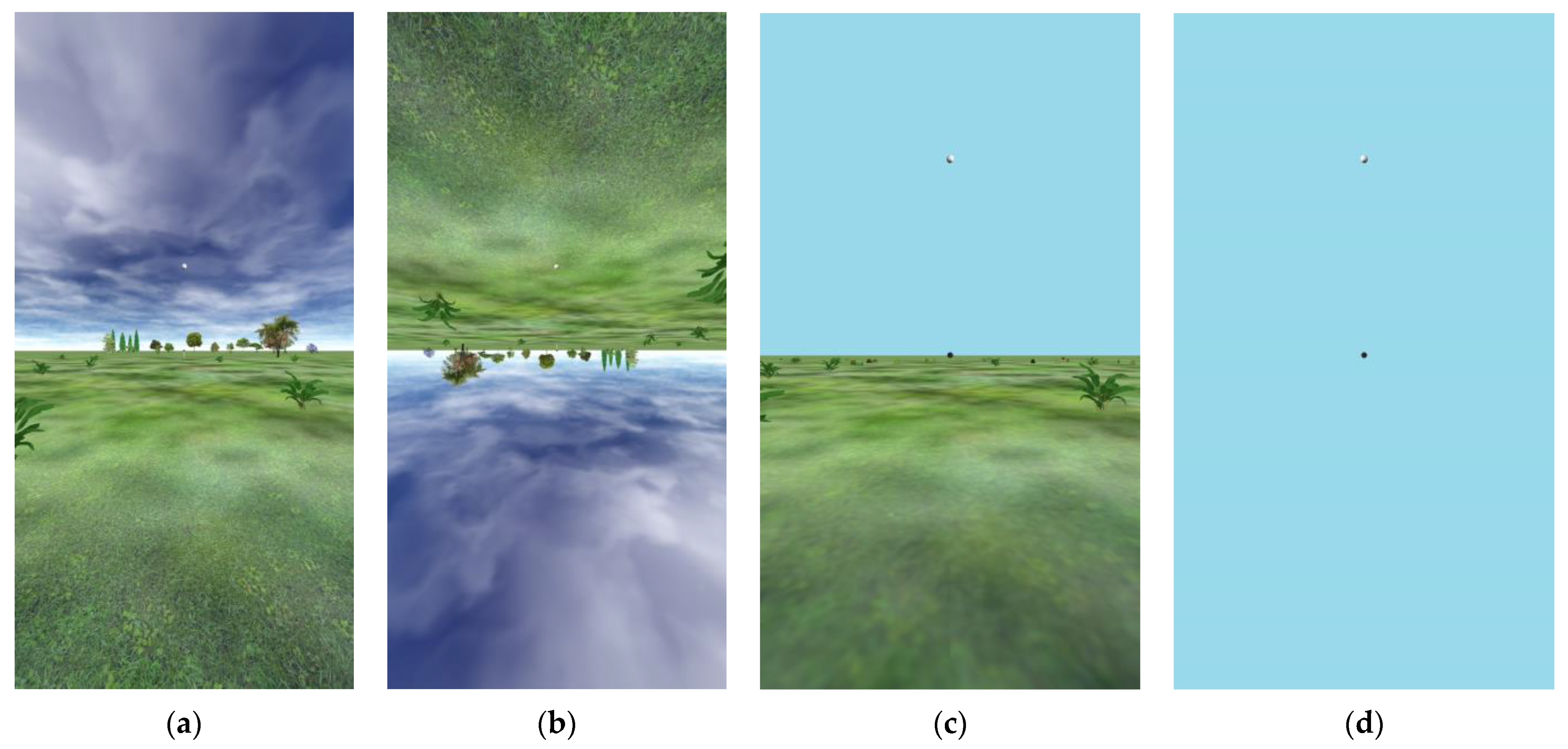 Vision 08 00007 g003