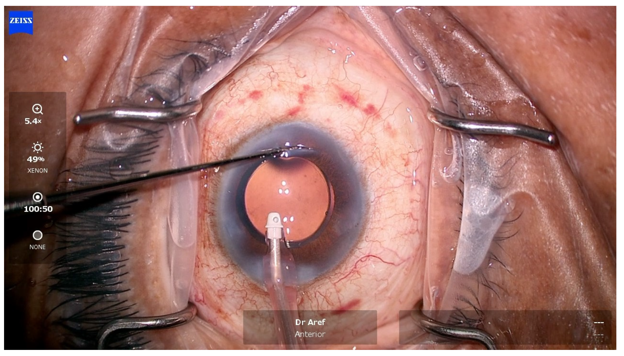 Vision 08 00009 g002