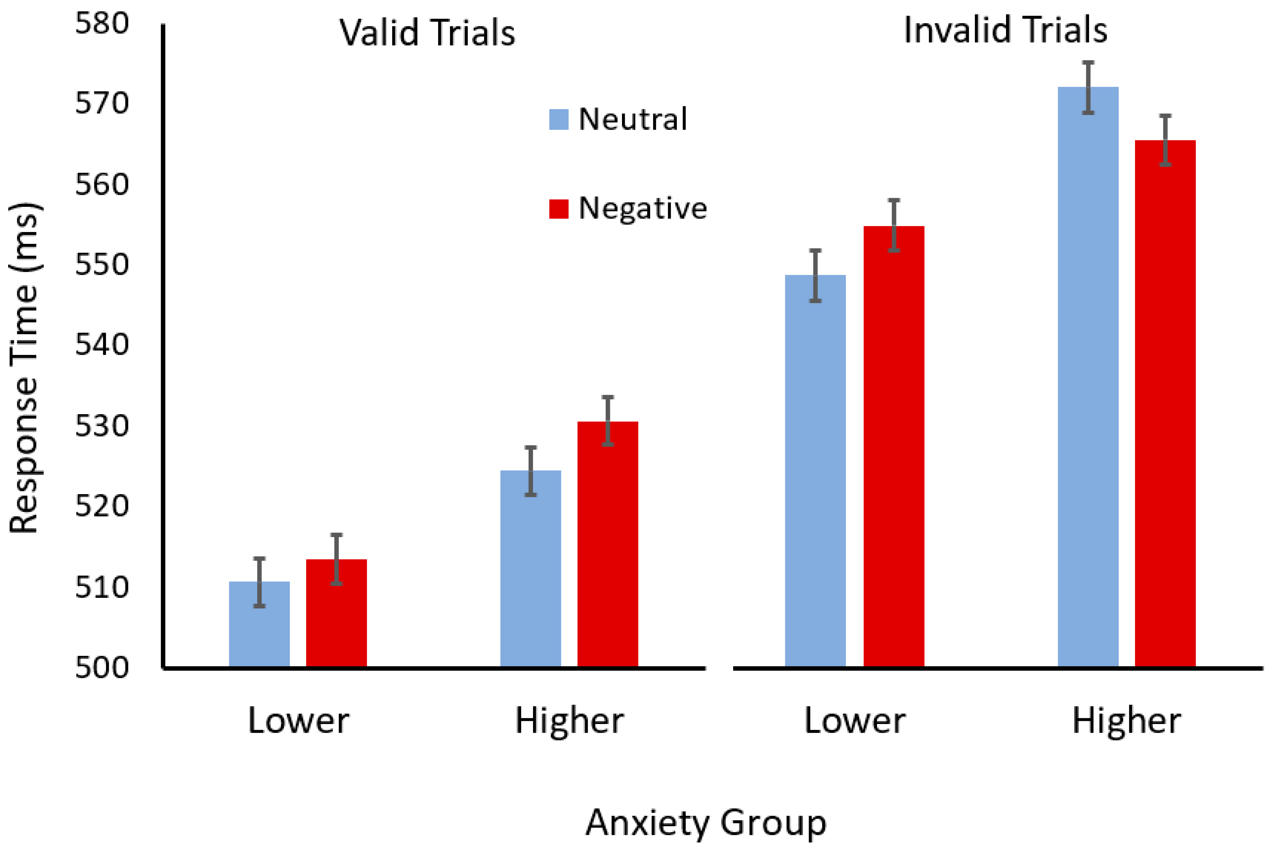 Vision 08 00015 g002