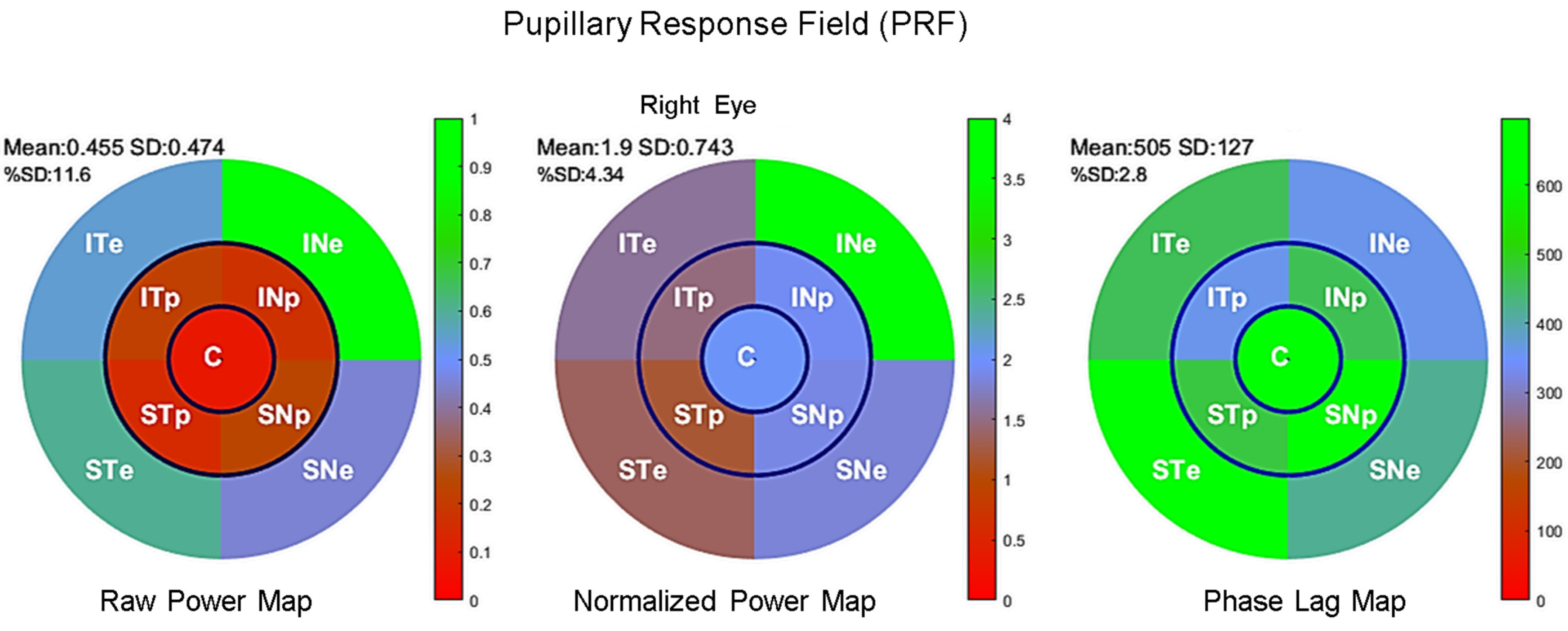 Vision 08 00017 g003