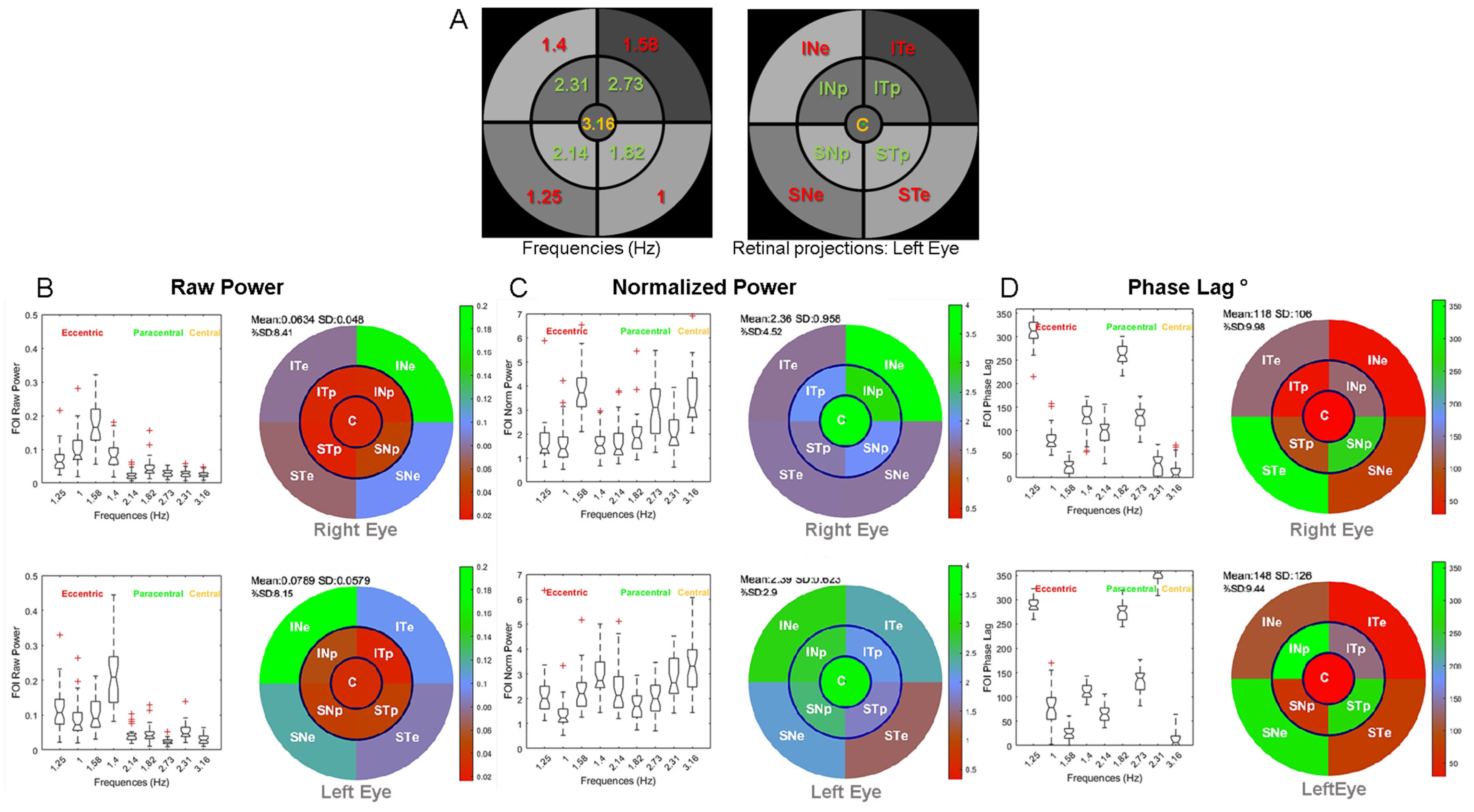 Vision 08 00017 g004