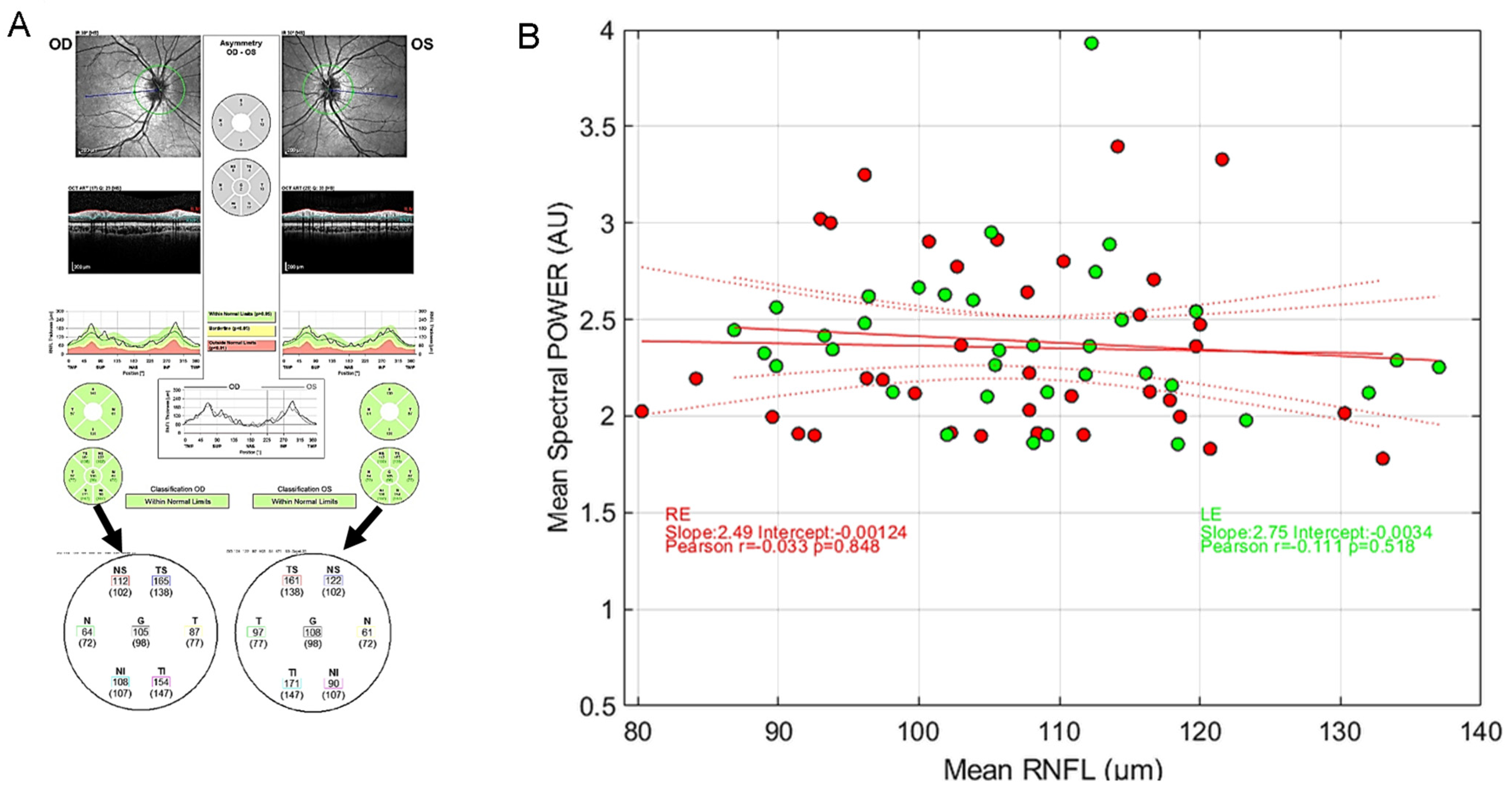 Vision 08 00017 g009
