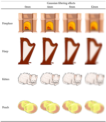 Vision 08 00018 i002