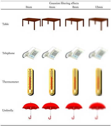 Vision 08 00018 i008