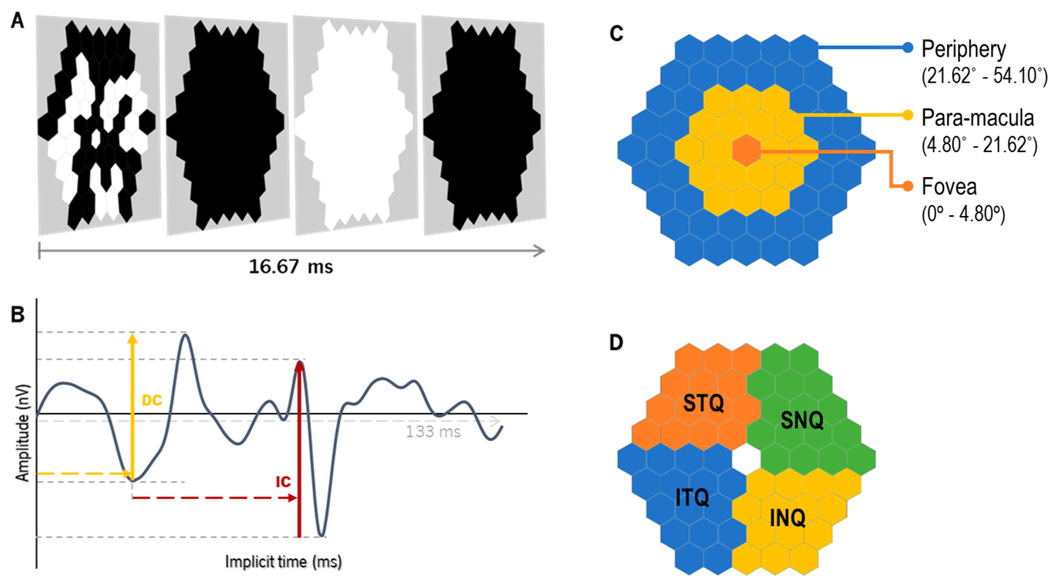 Vision 08 00019 g003