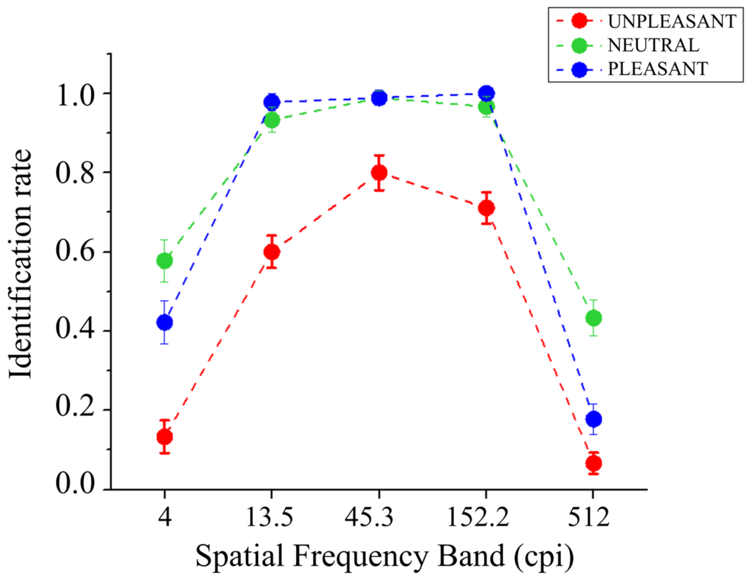 Vision 08 00036 g002