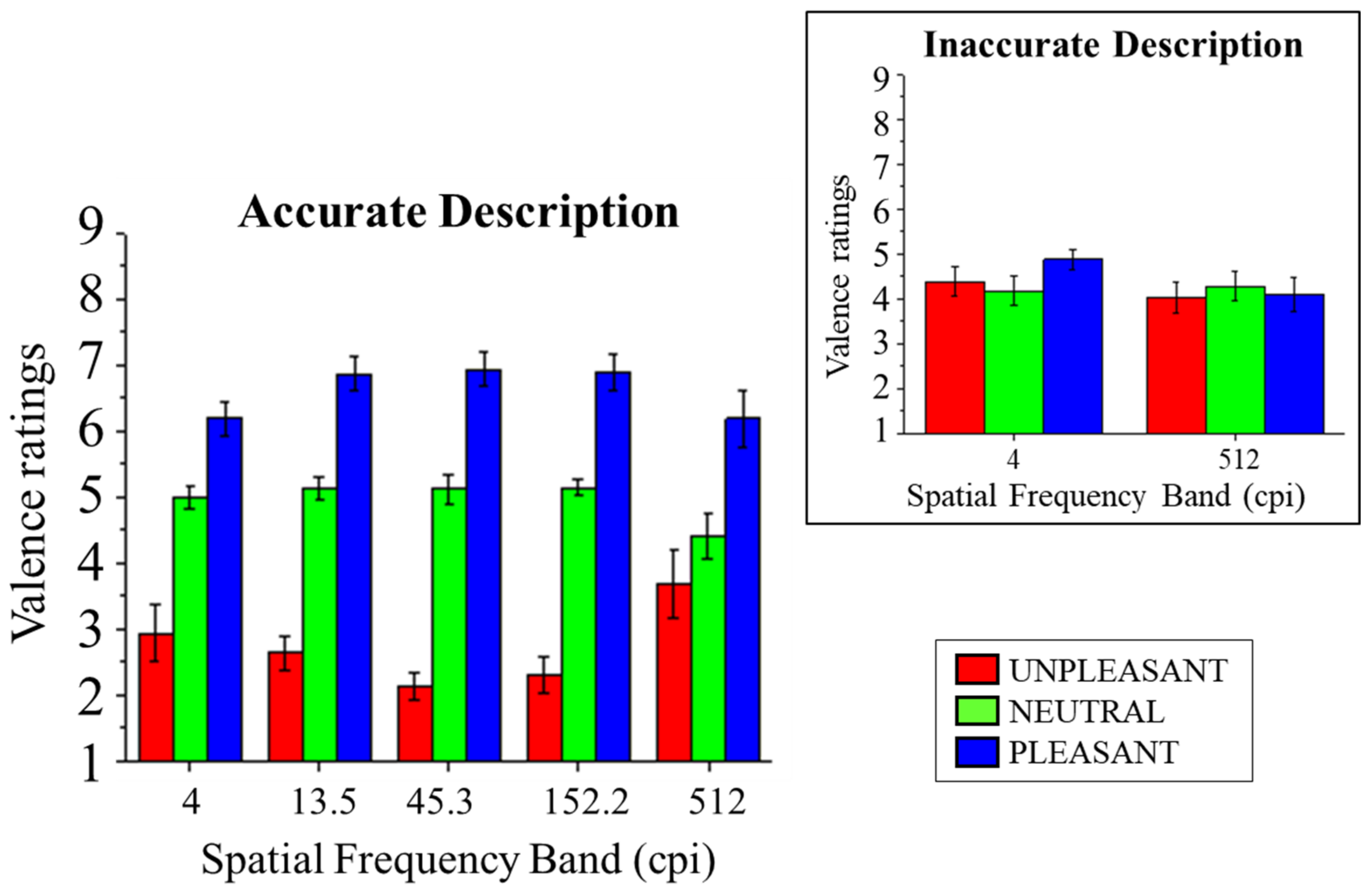 Vision 08 00036 g004