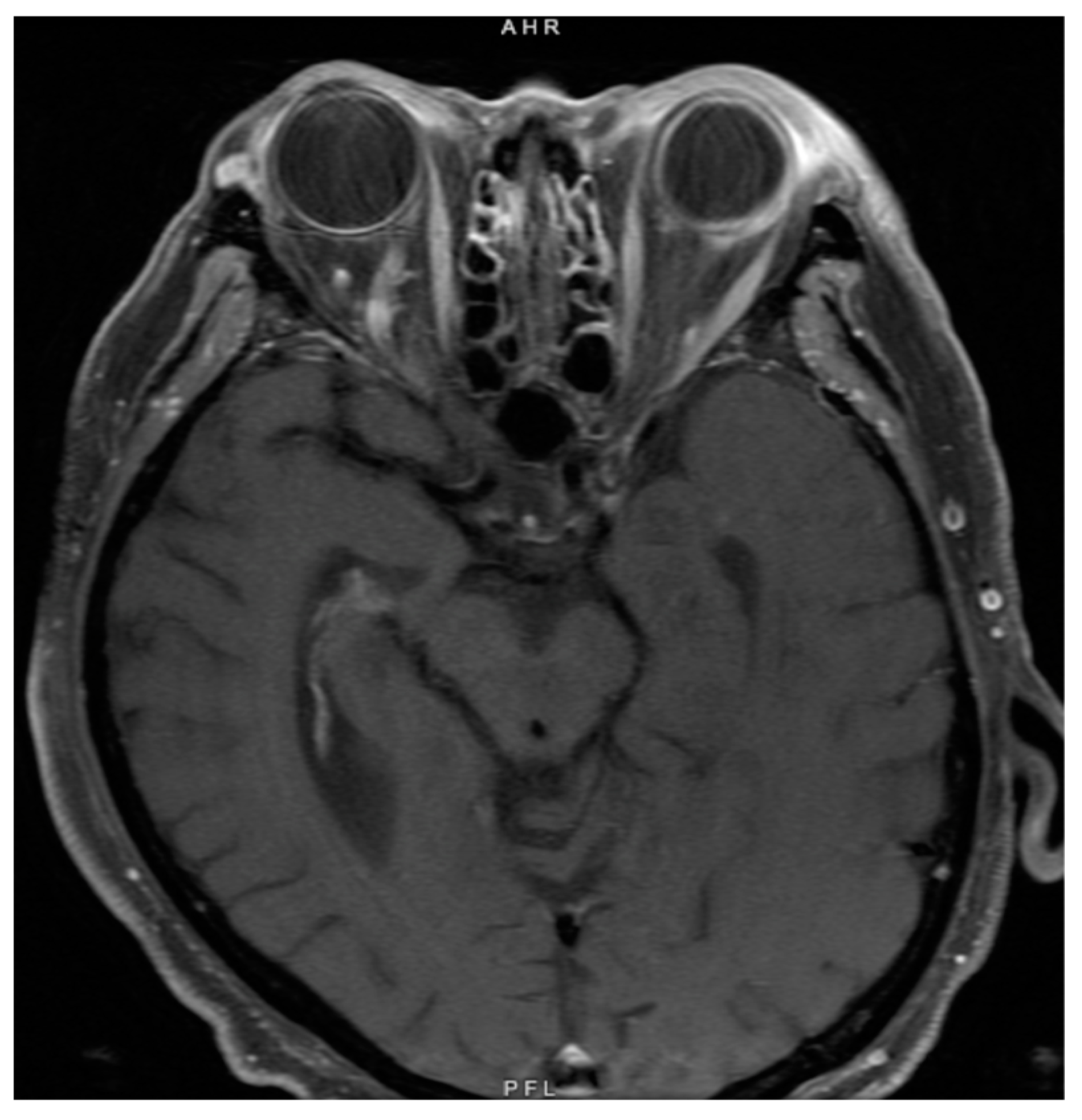 Vision 08 00044 g002