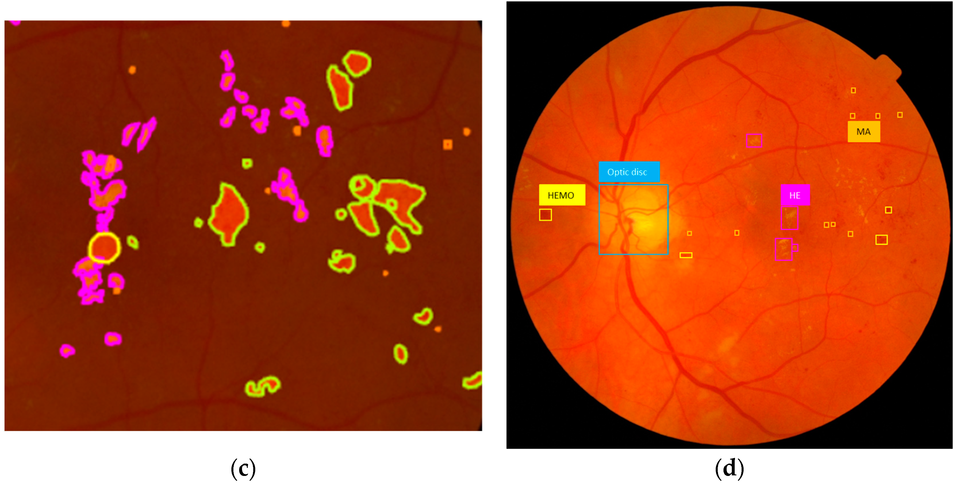 Vision 08 00048 g001b