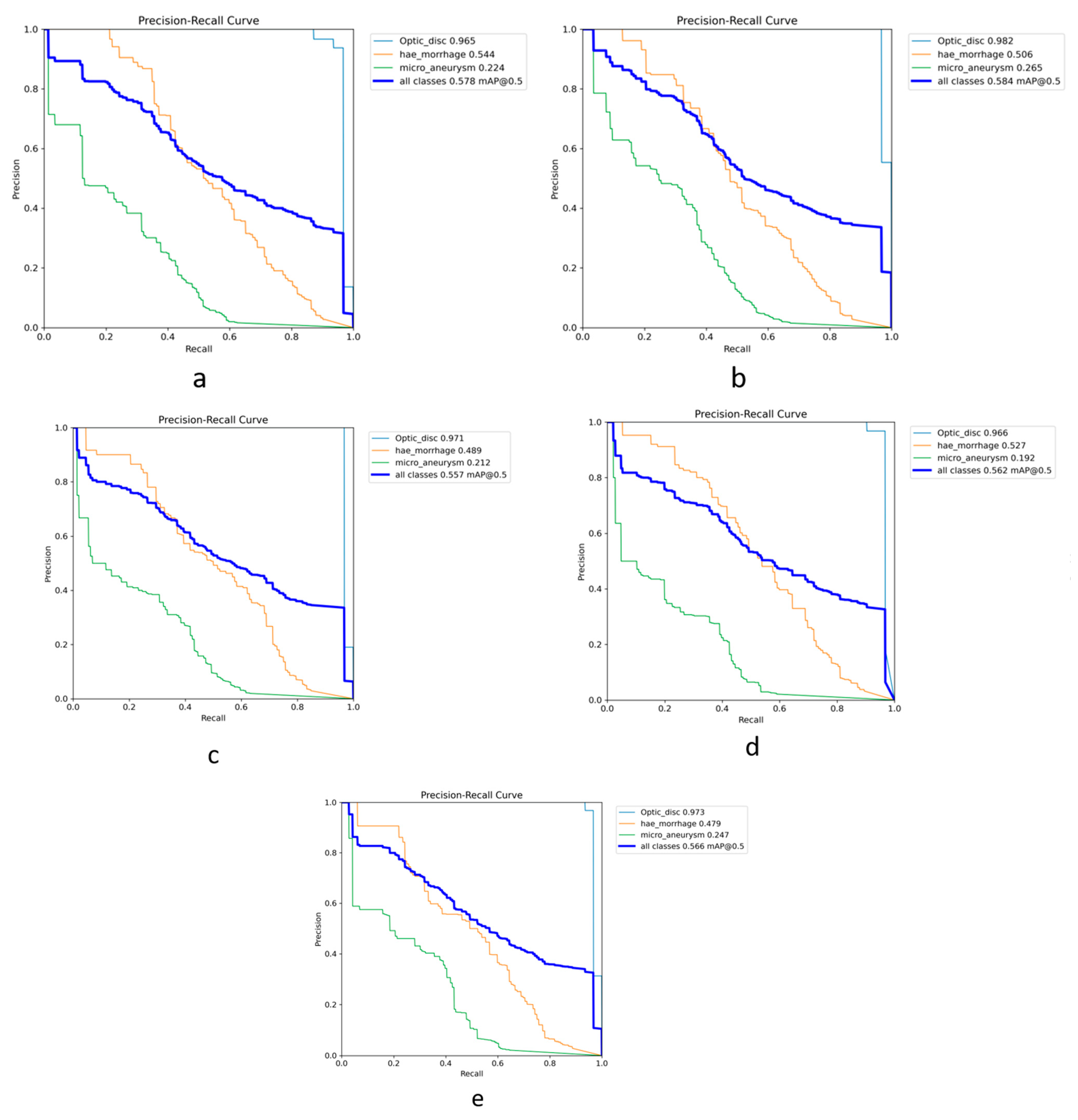 Vision 08 00048 g006