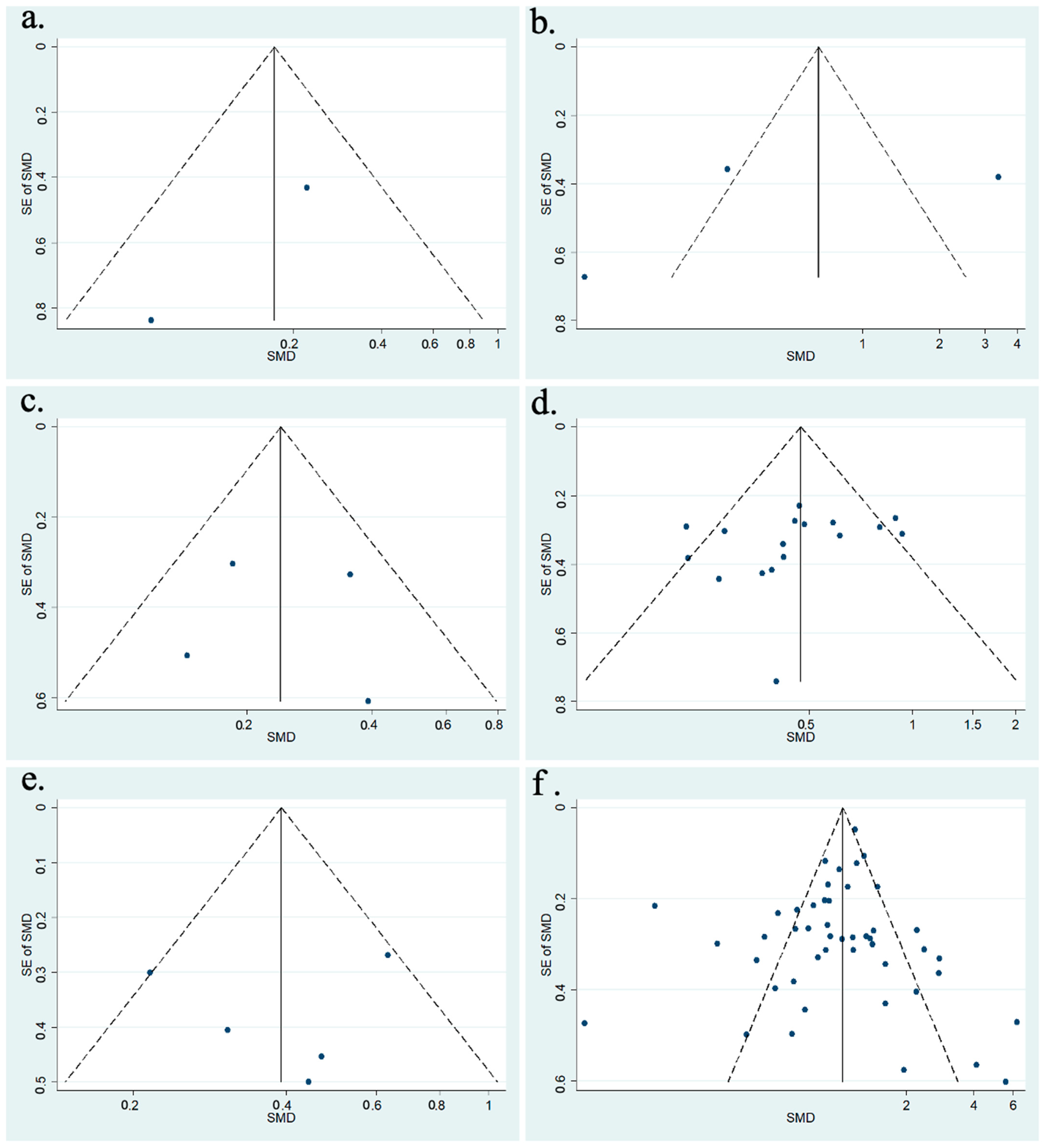 Vision 08 00065 g002