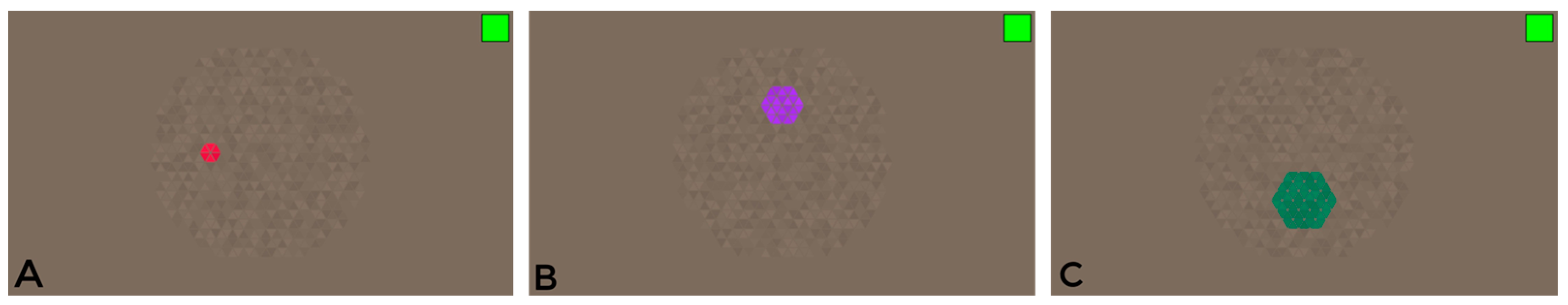 Vision 09 00003 g002