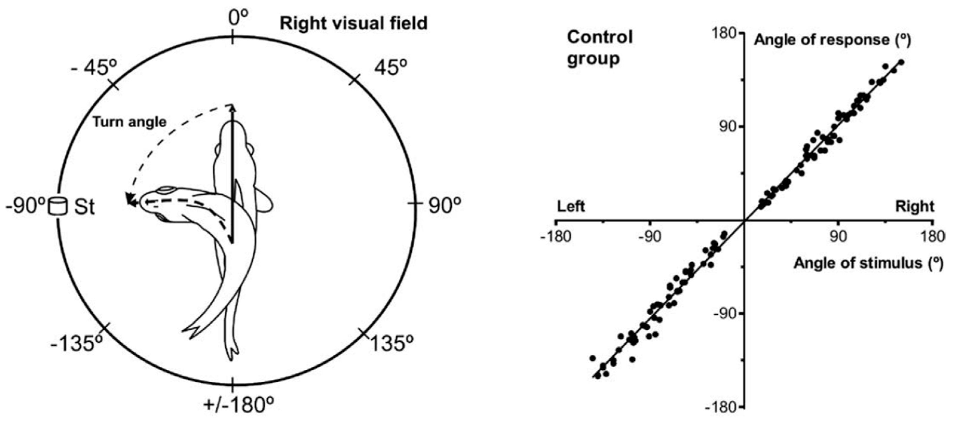Vision 09 00006 g001 Vision 09 00006 g001