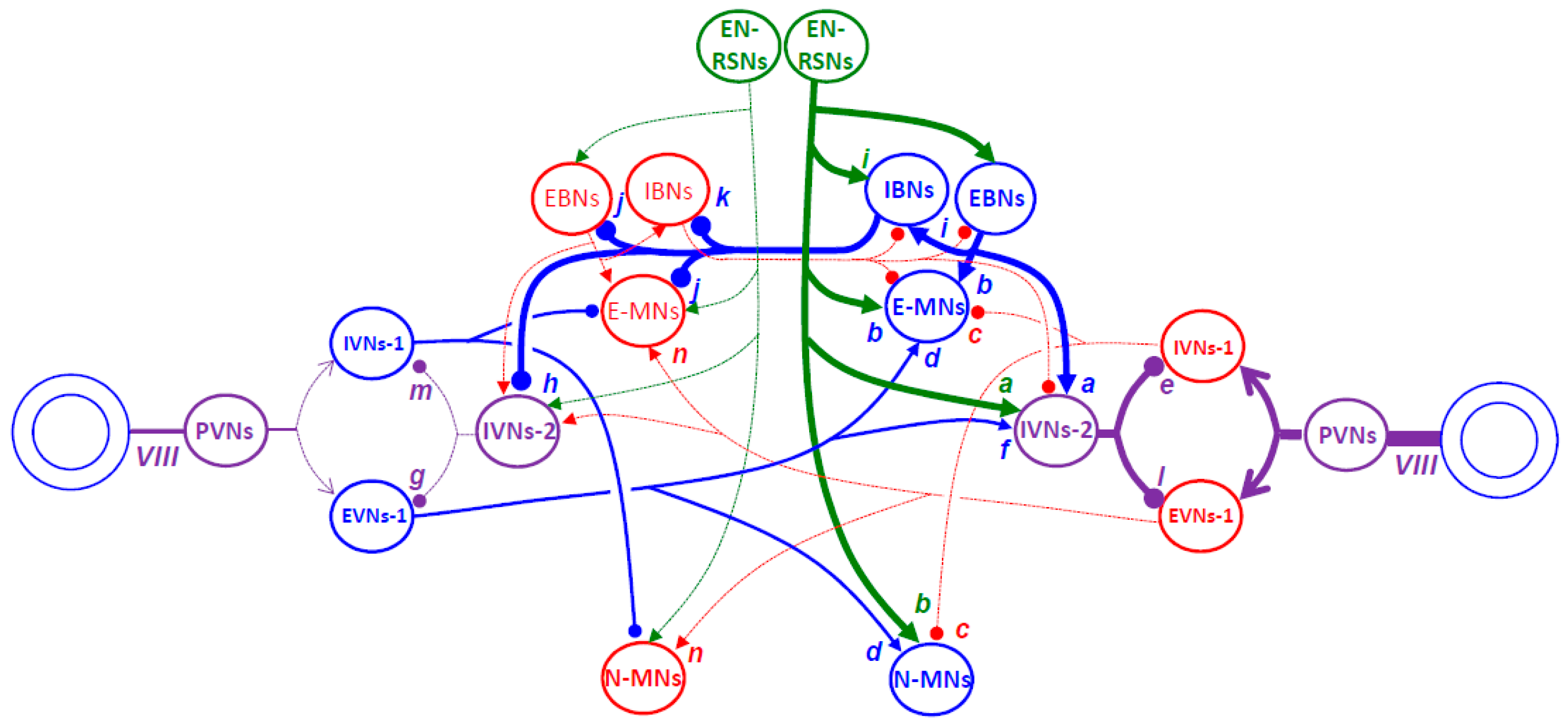 Vision 09 00006 g008 Vision 09 00006 g008