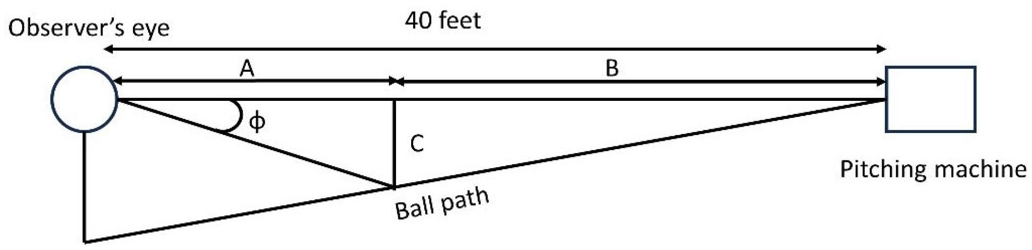 Vision 09 00008 g004