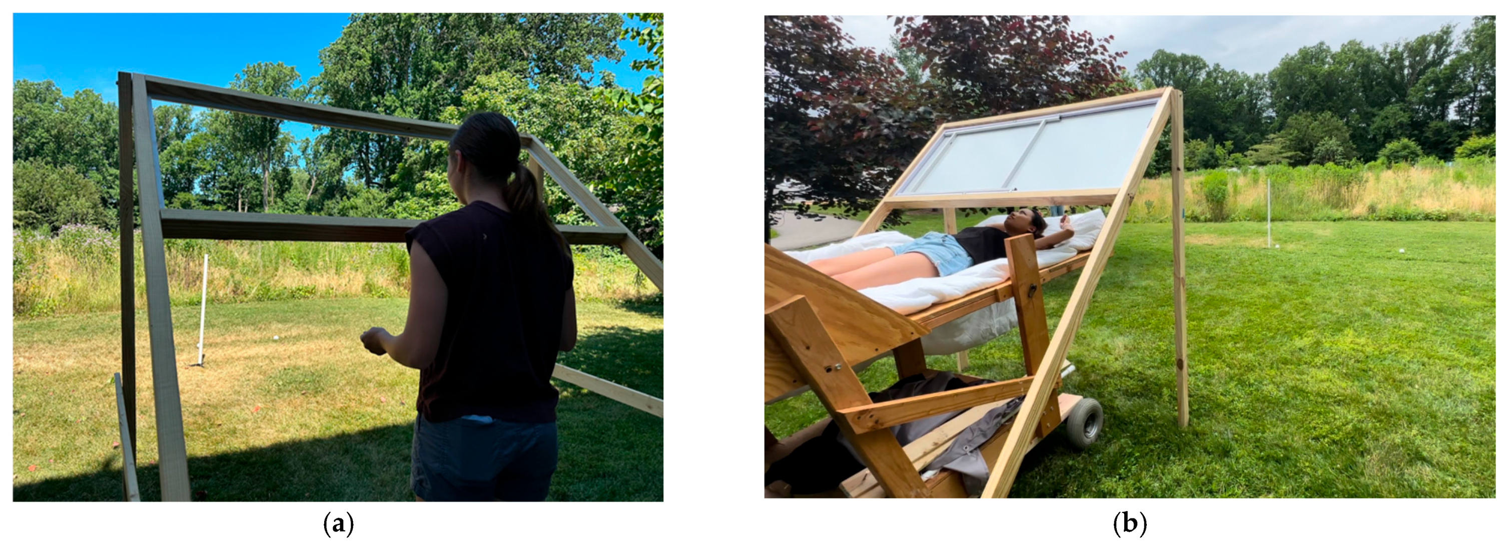 Vision 09 00011 g002