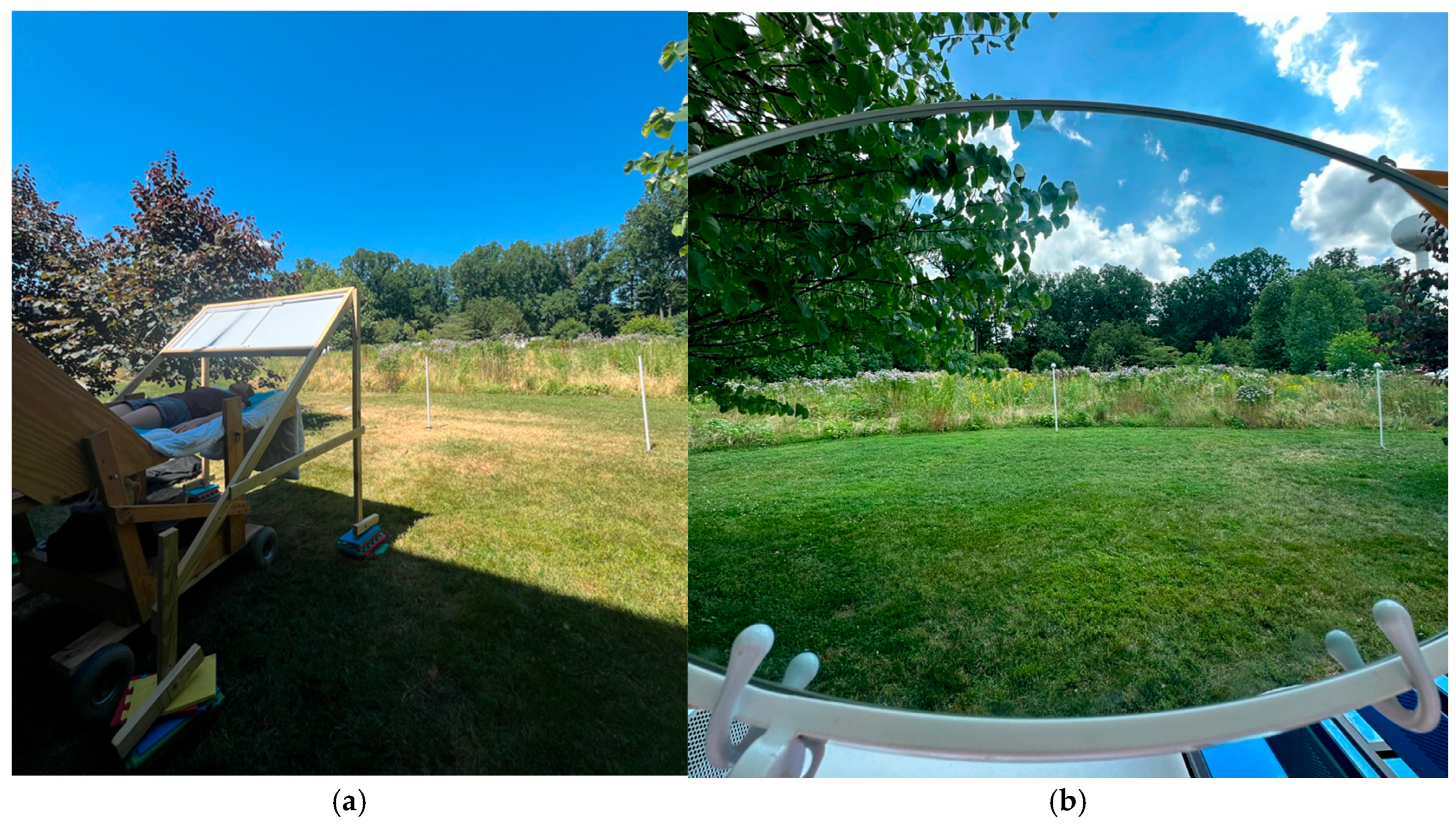 Vision 09 00011 g003