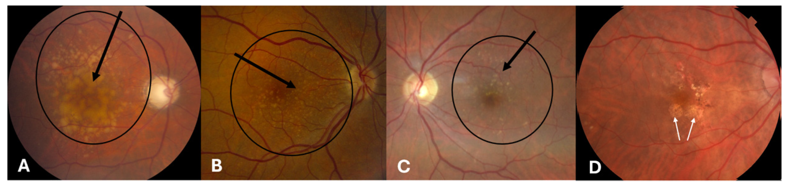 Vision 09 00016 g001