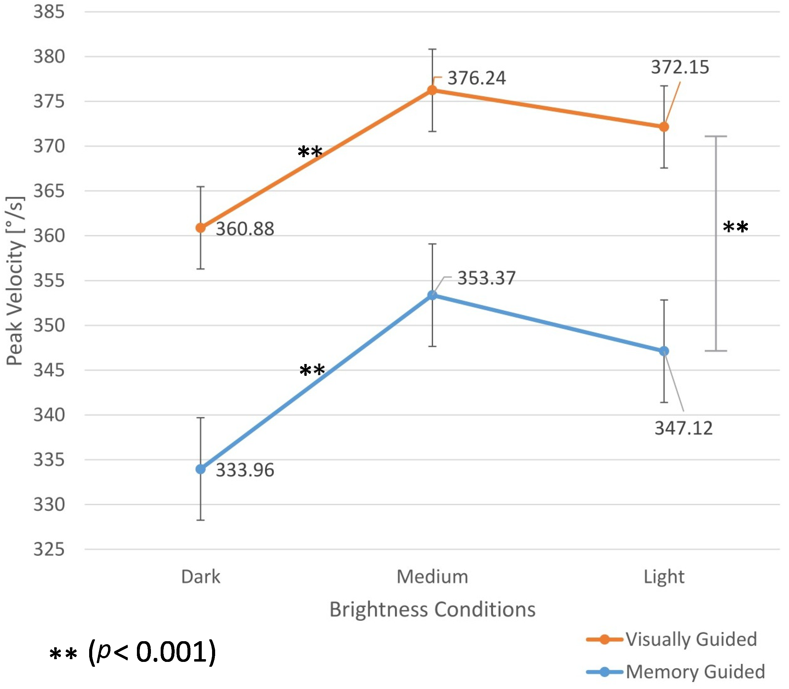 Vision 09 00018 g001