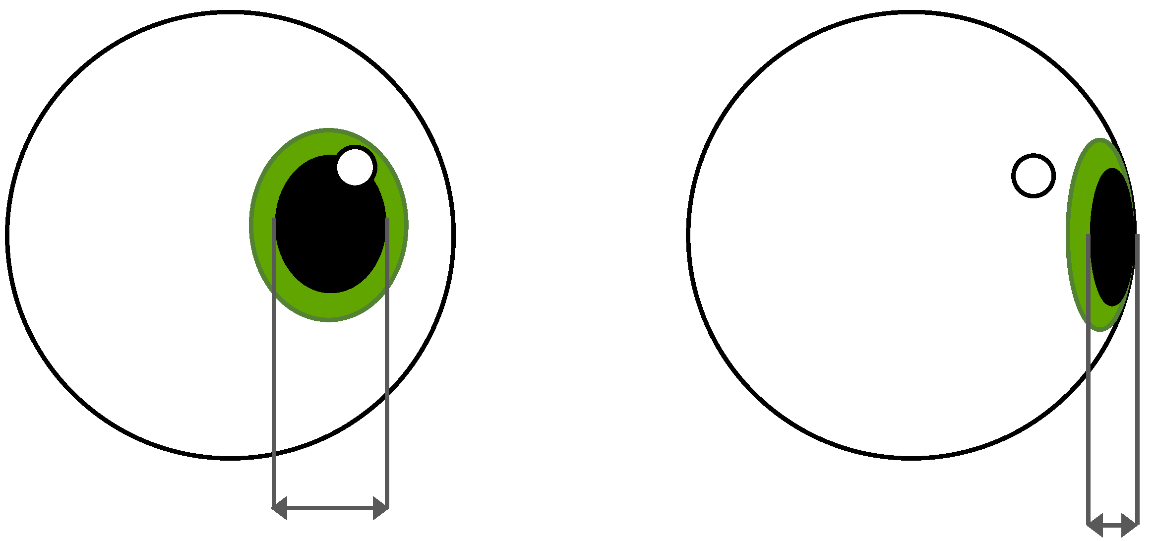 Vision 09 00018 g003