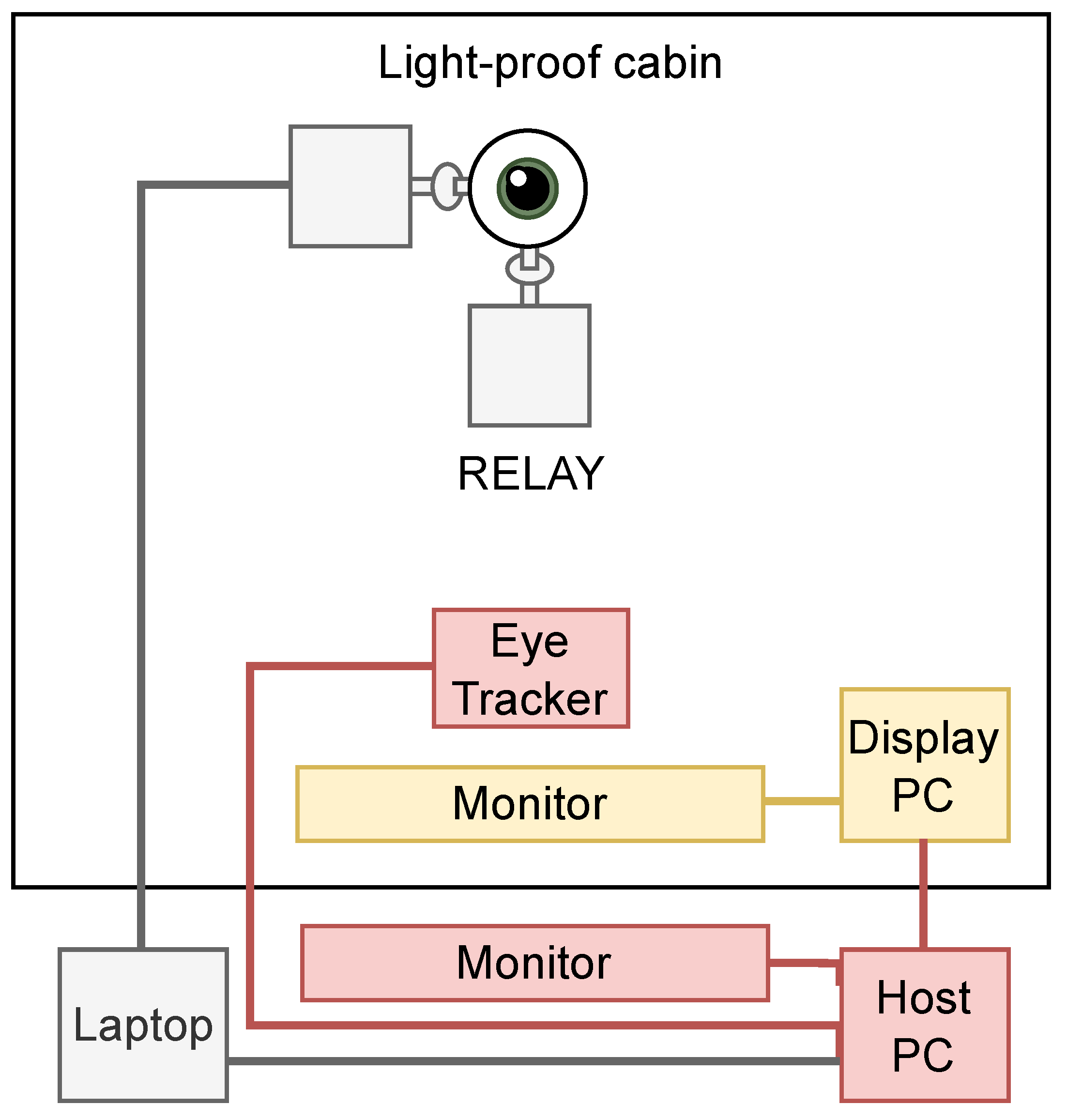 Vision 09 00018 g007