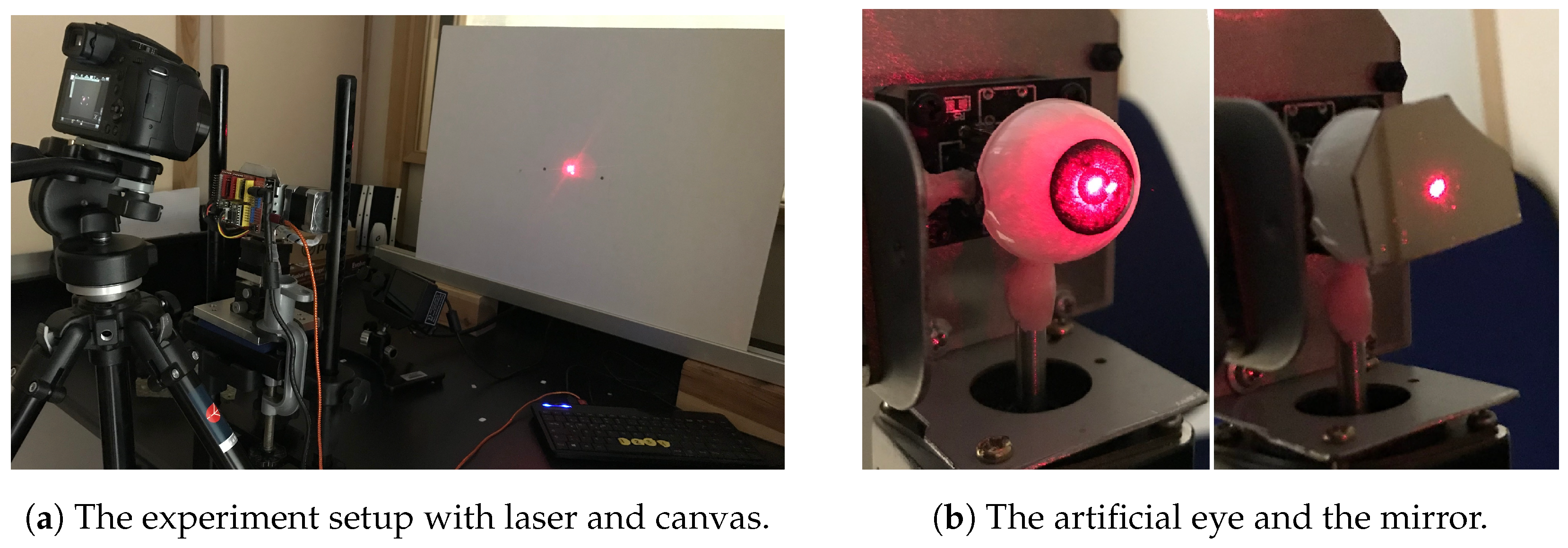 Vision 09 00018 g010