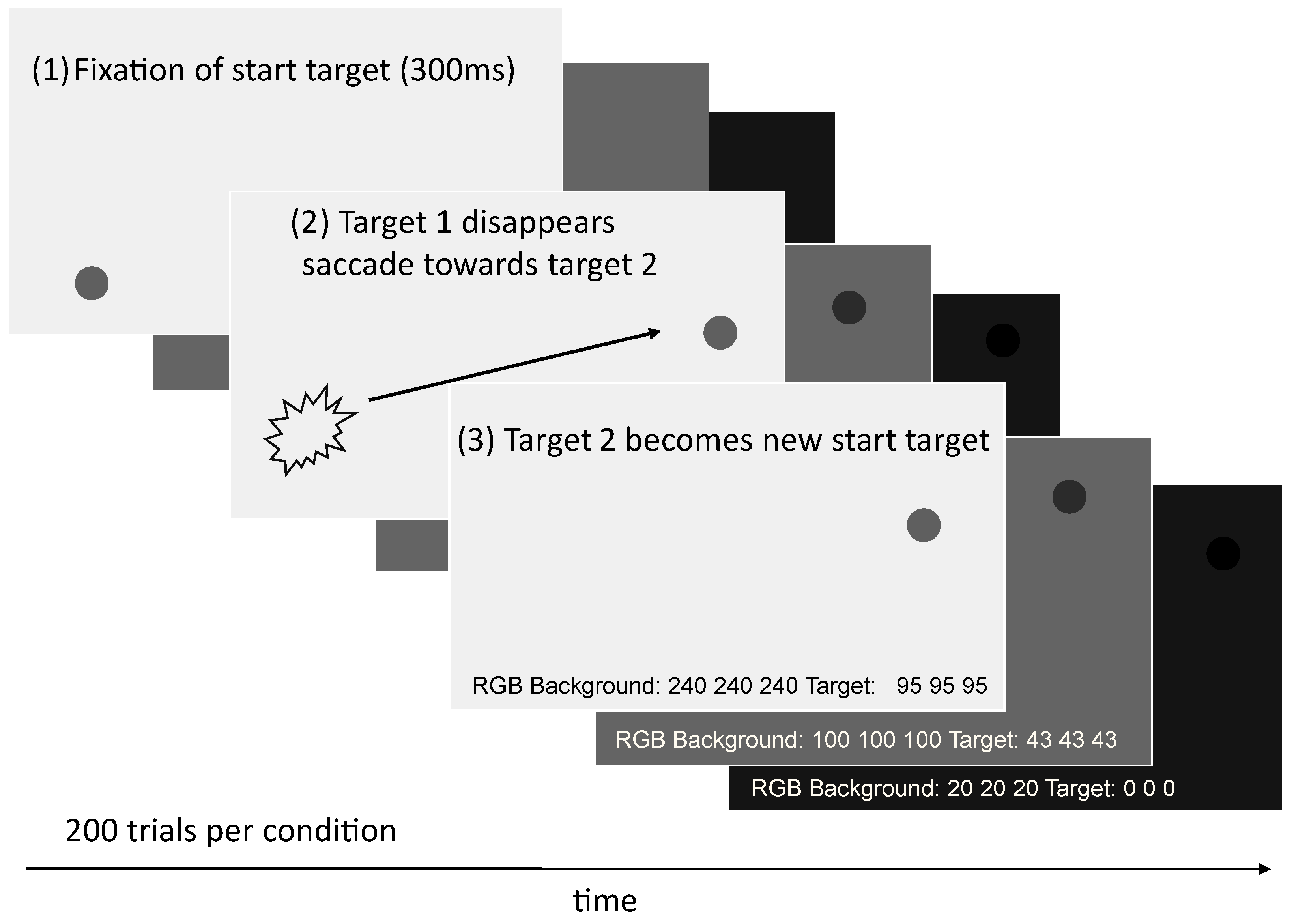 Vision 09 00018 g011