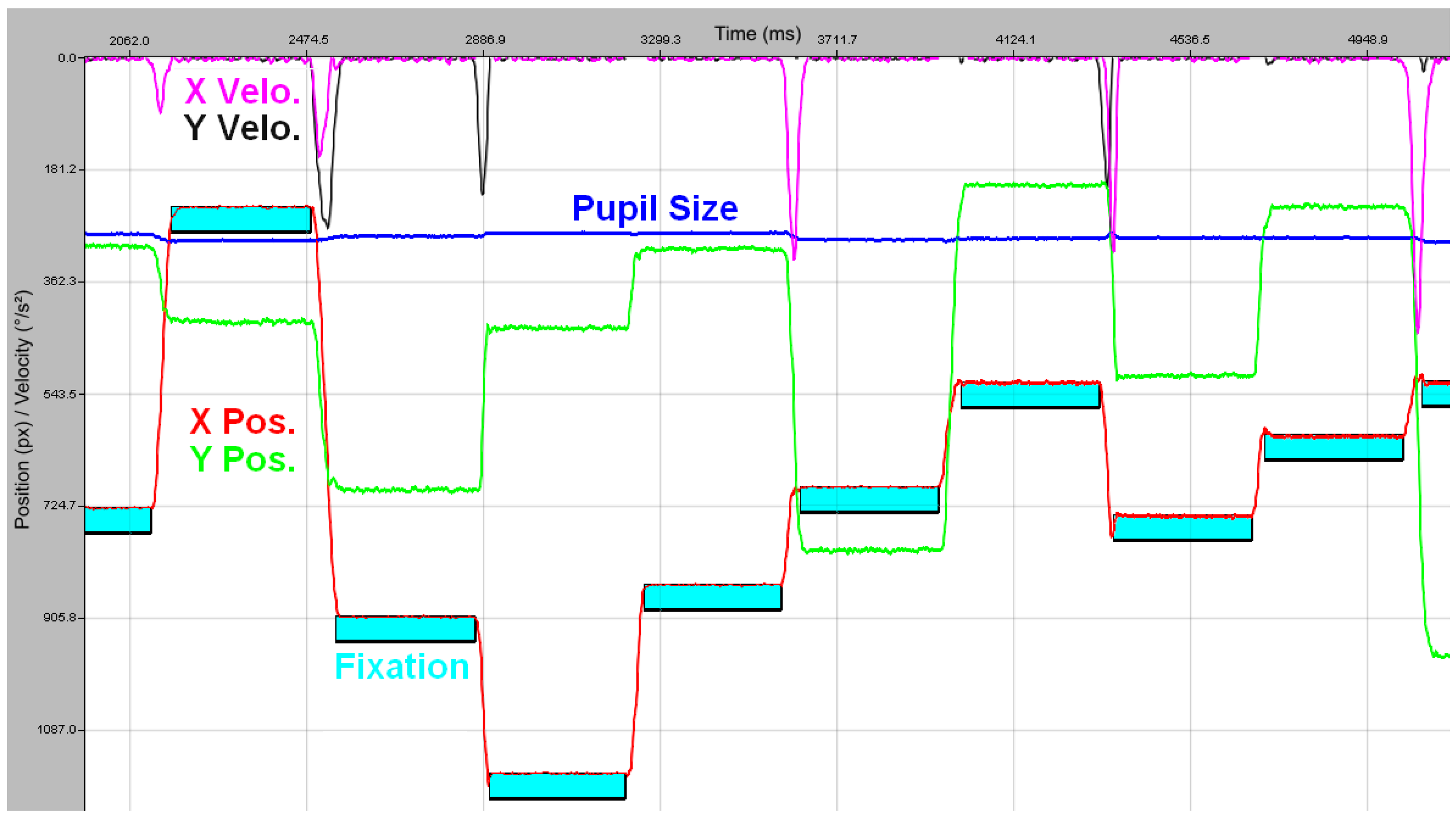 Vision 09 00018 g015