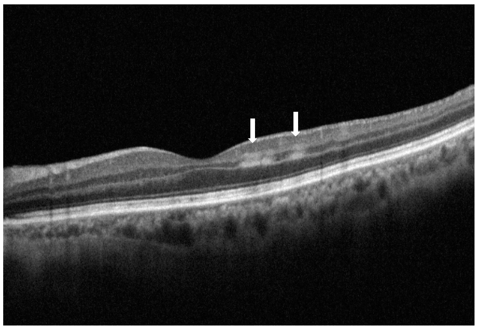 Vision 09 00019 g001