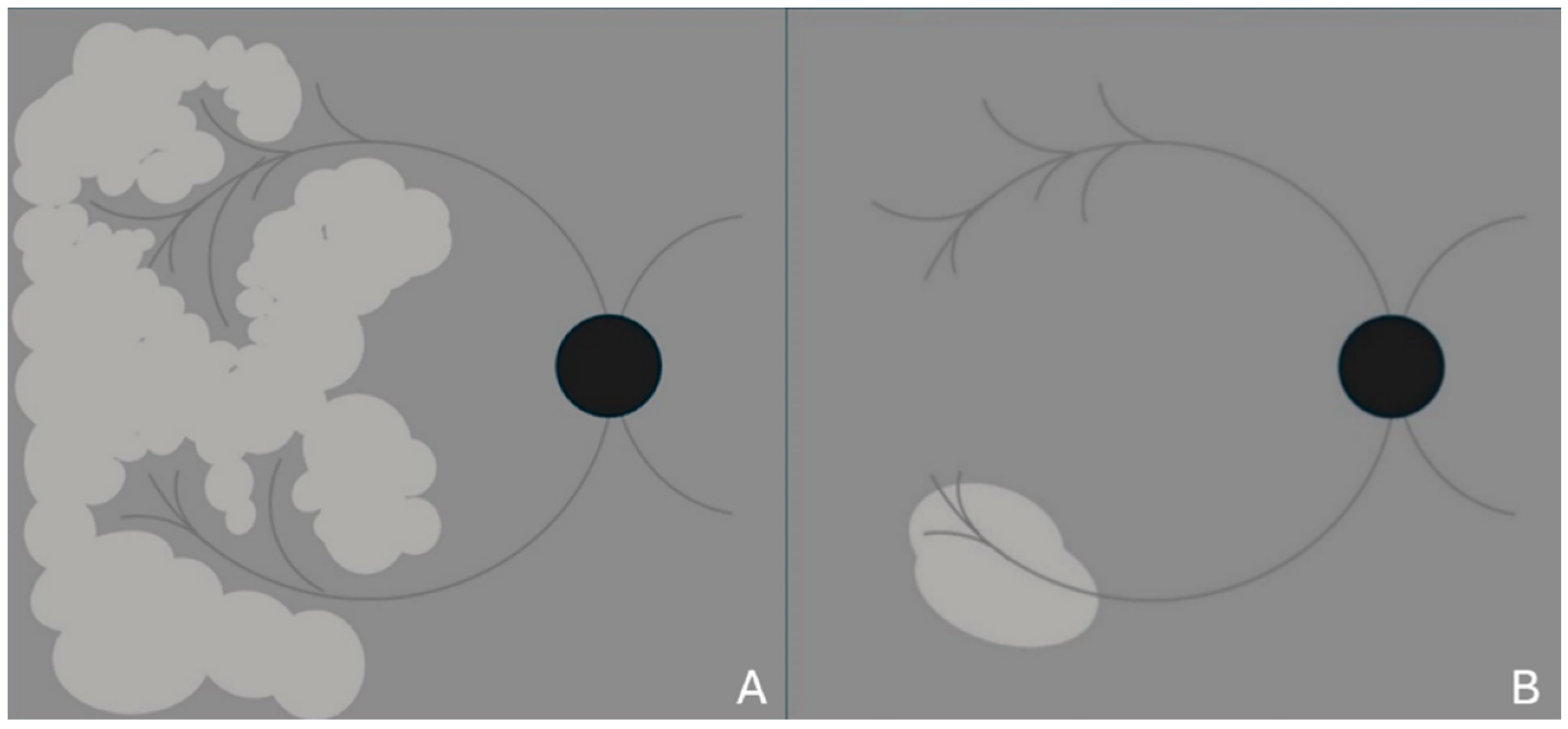 Vision 09 00019 g004