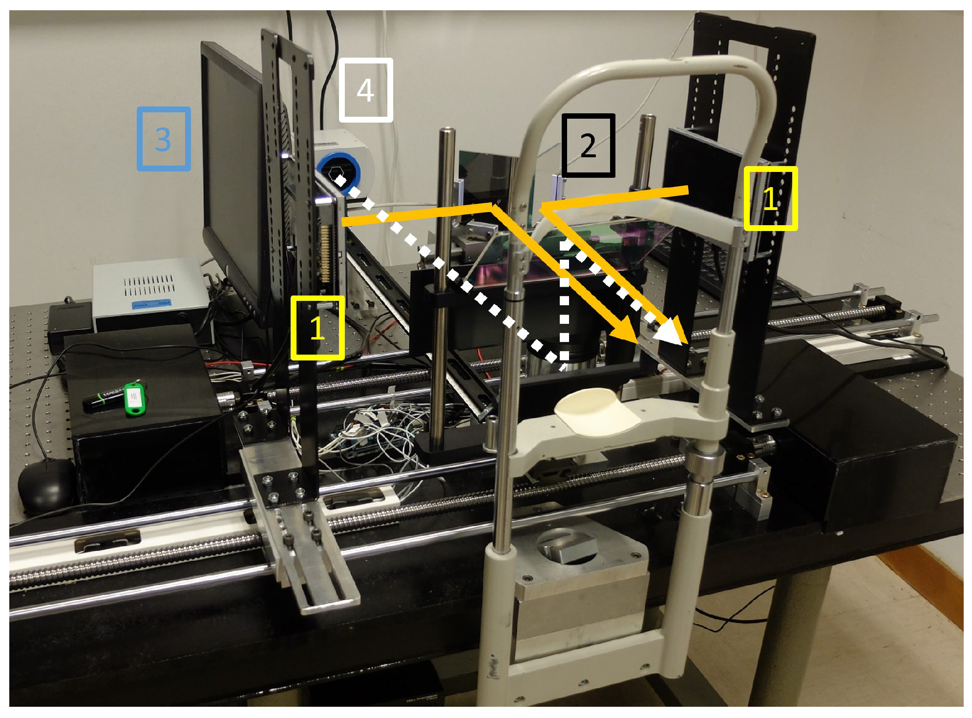 Vision 09 00022 g001