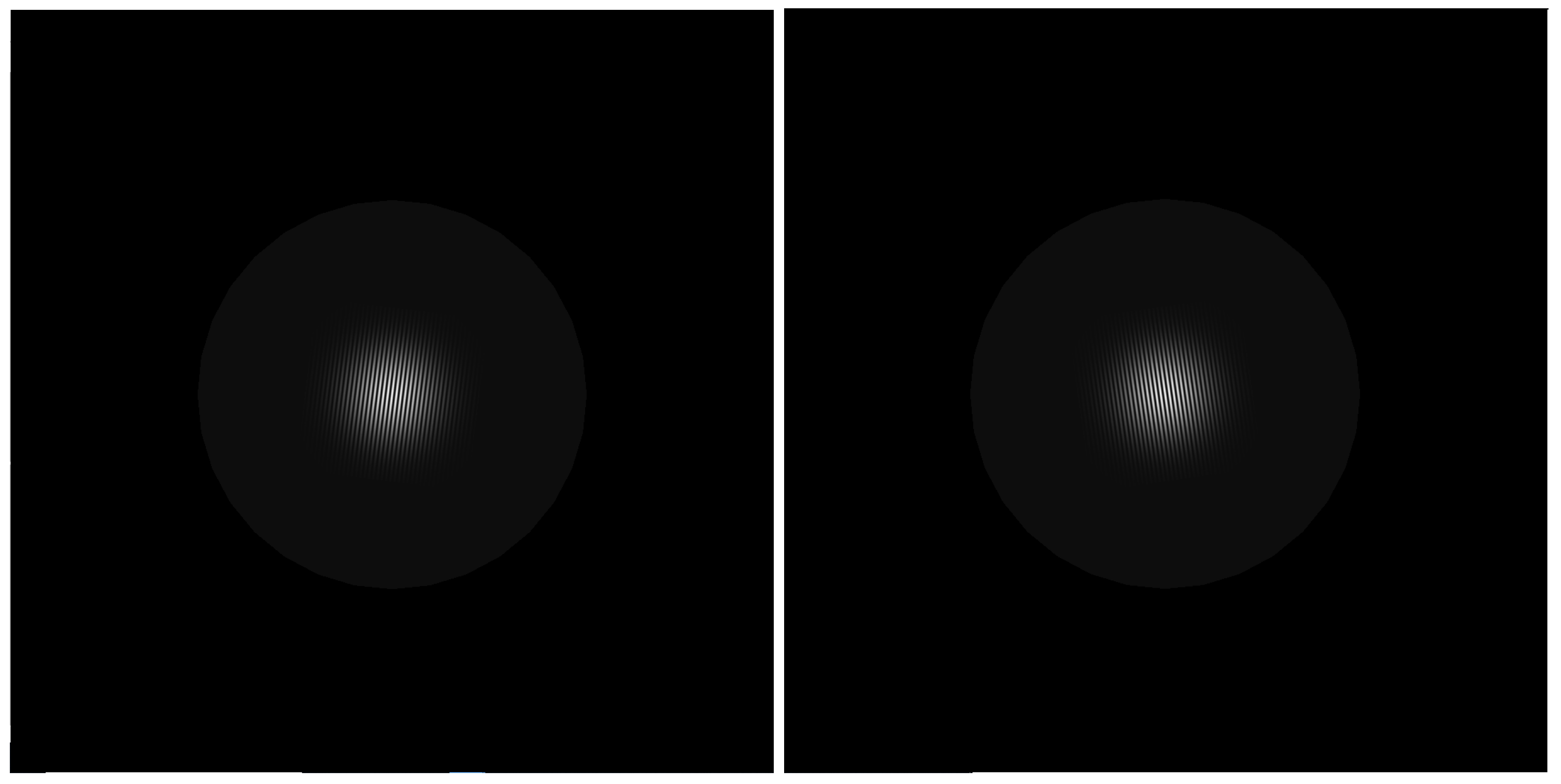 Vision 09 00022 g002