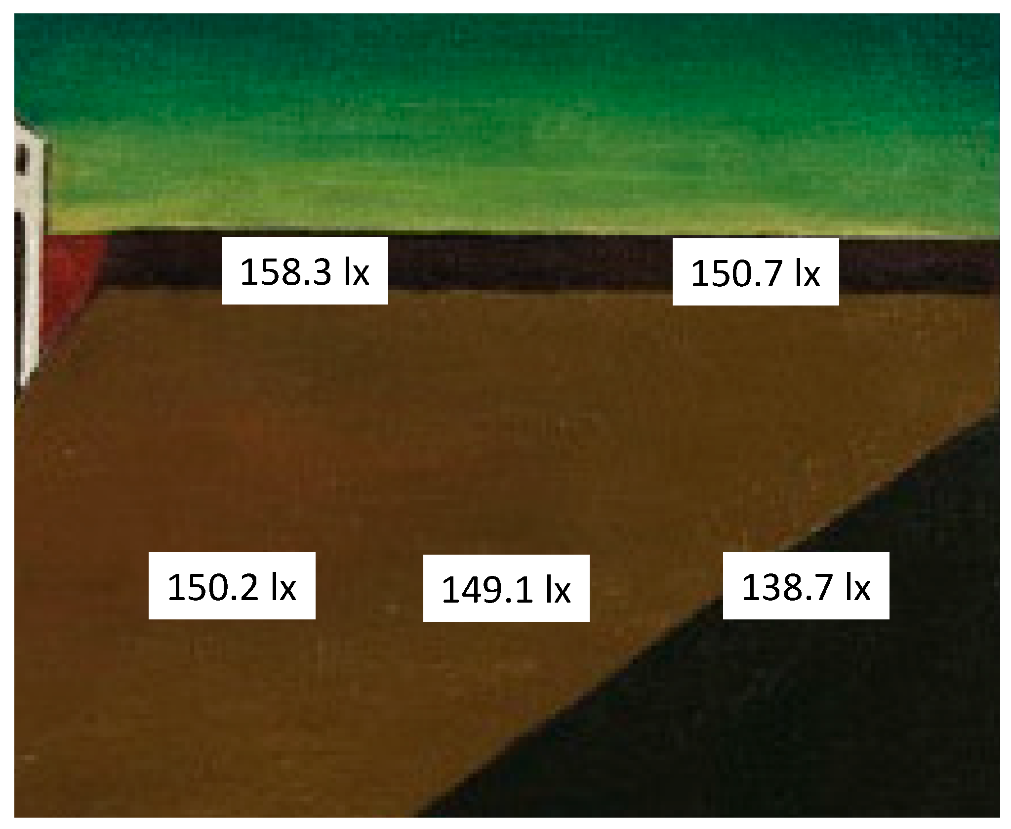 Vision 09 00025 g002