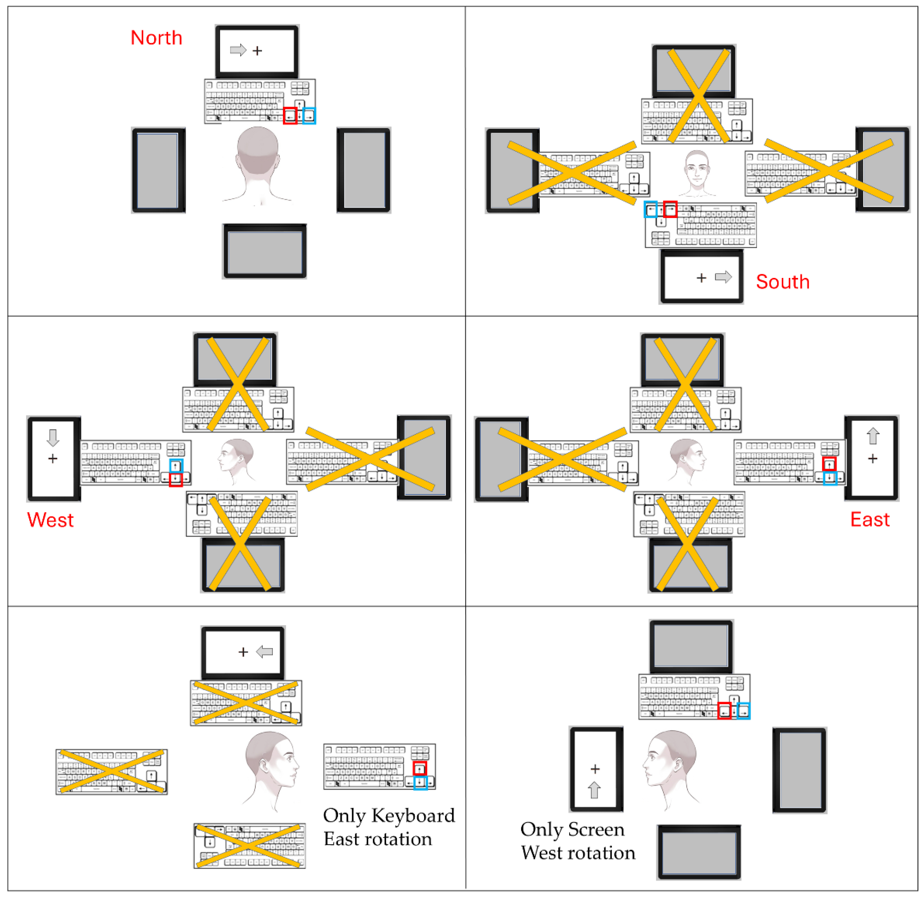 Vision 09 00034 g001