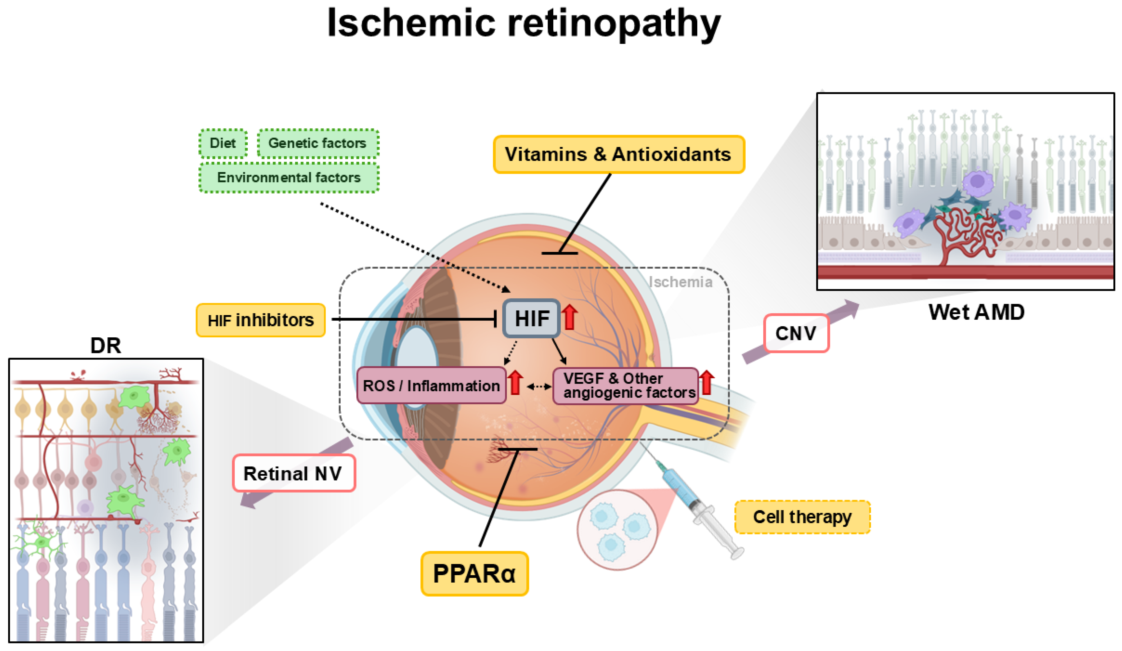 Vision 09 00035 g001 Vision 09 00035 g001