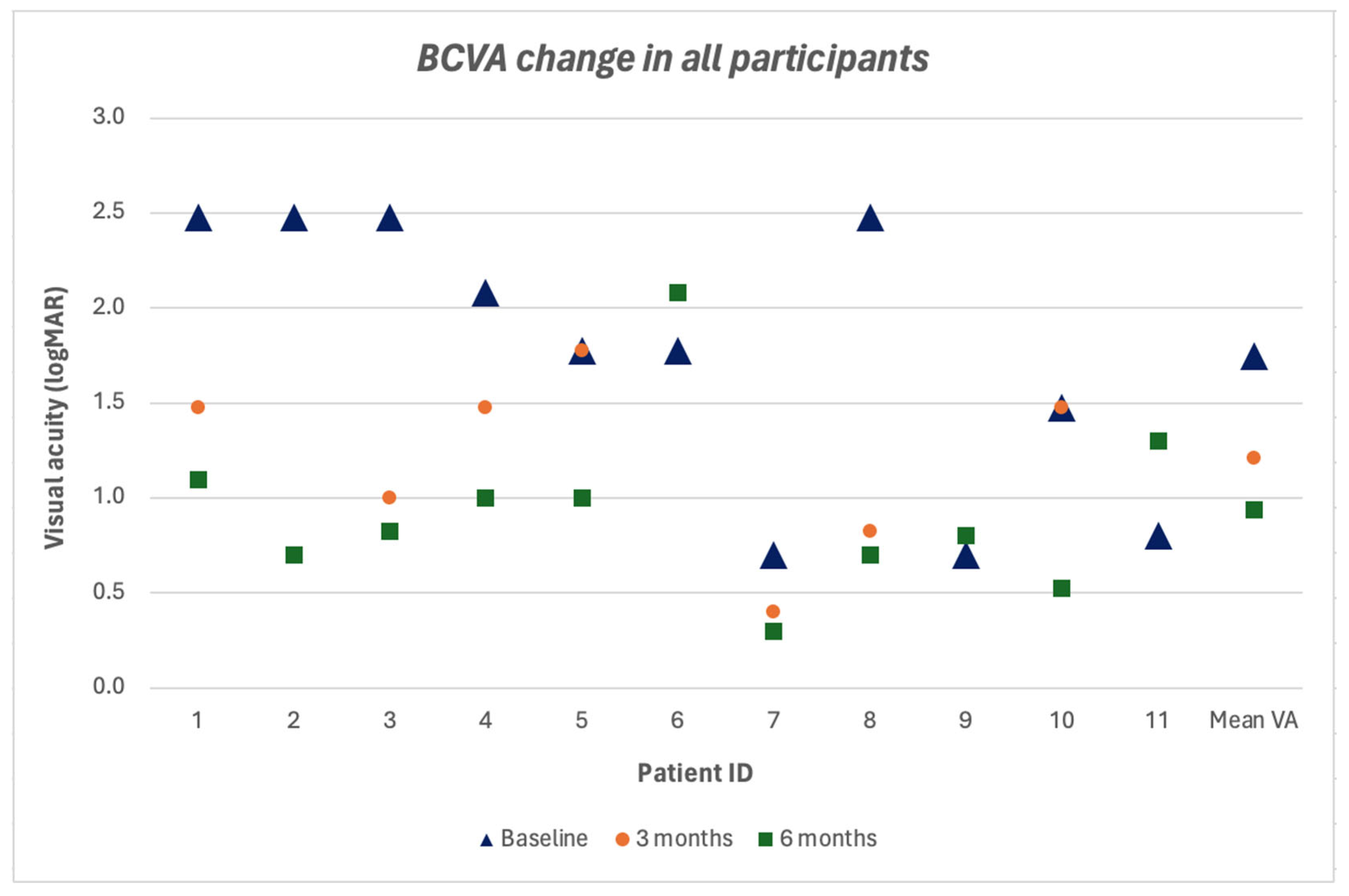 Vision 09 00045 g005