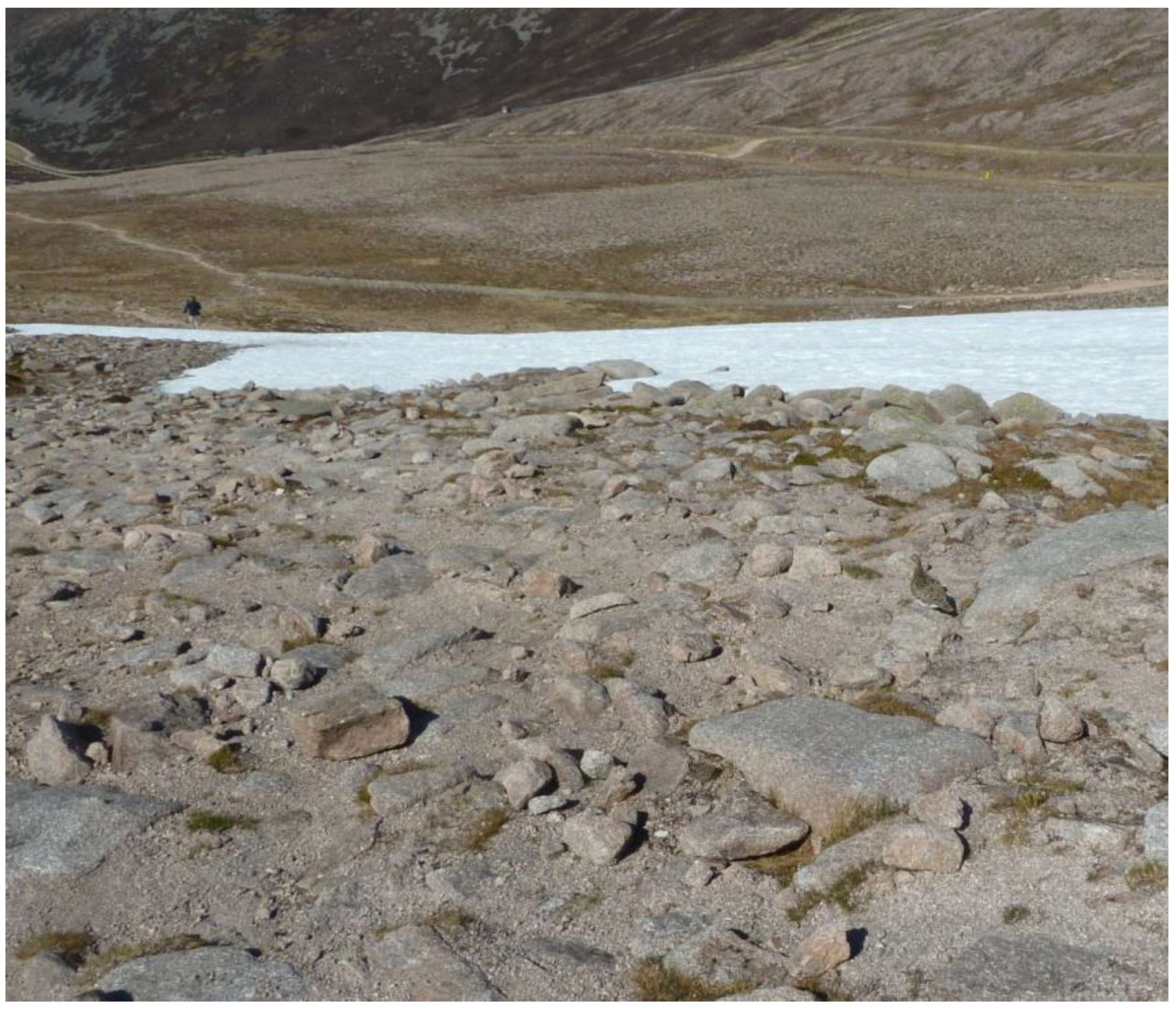 Vision 09 00047 g001