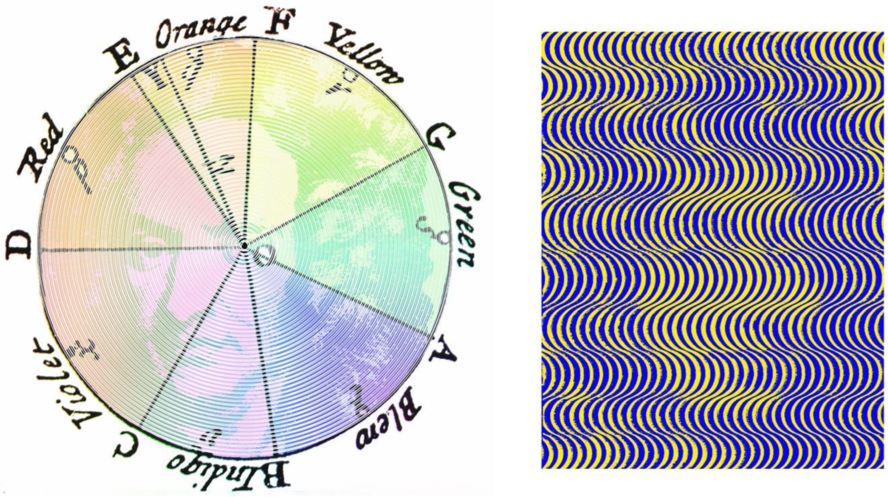 Vision 09 00047 g007