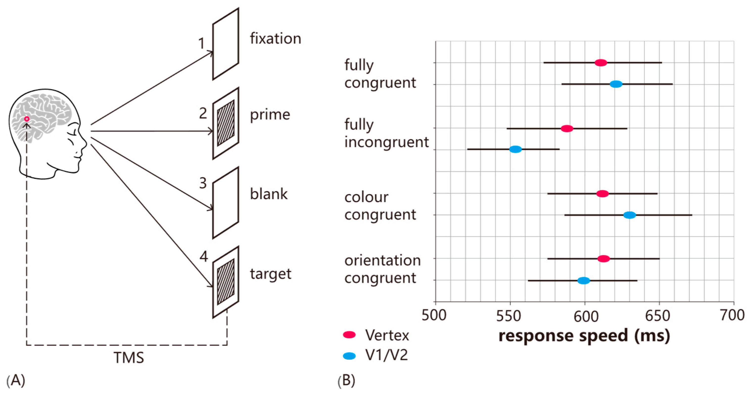 Vision 09 00050 g001