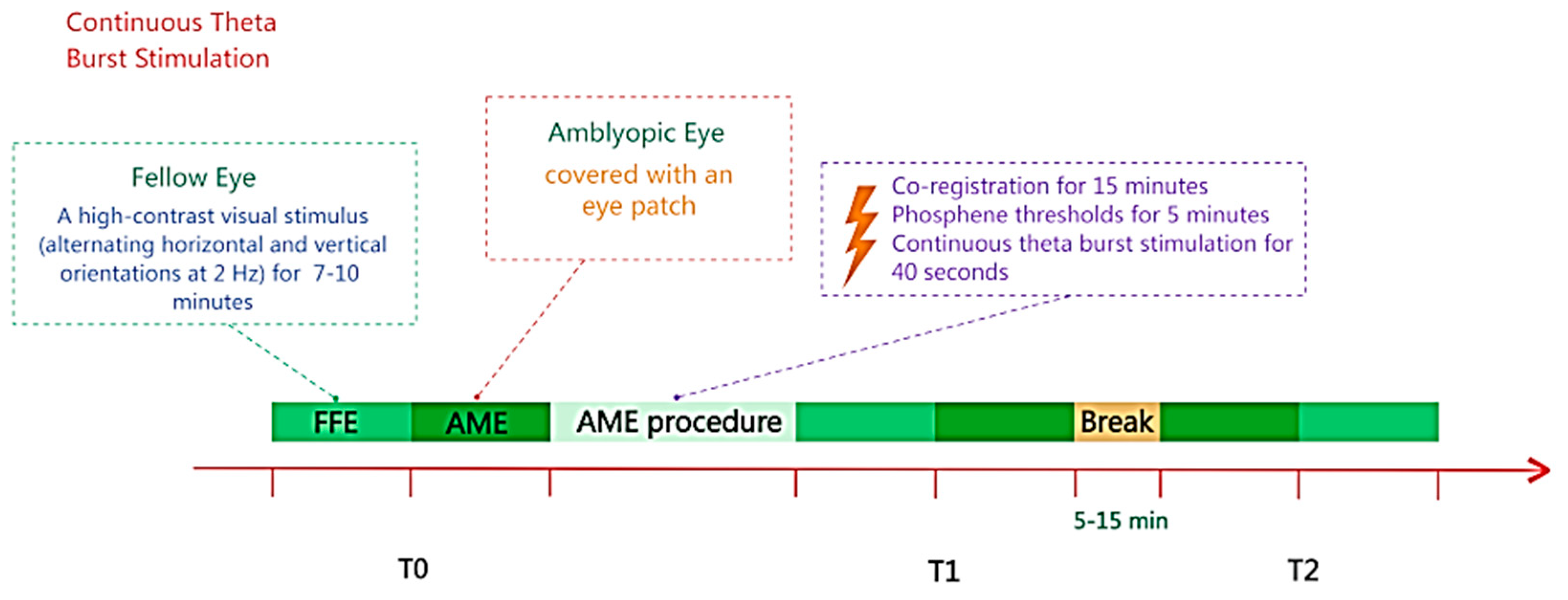 Vision 09 00050 g003