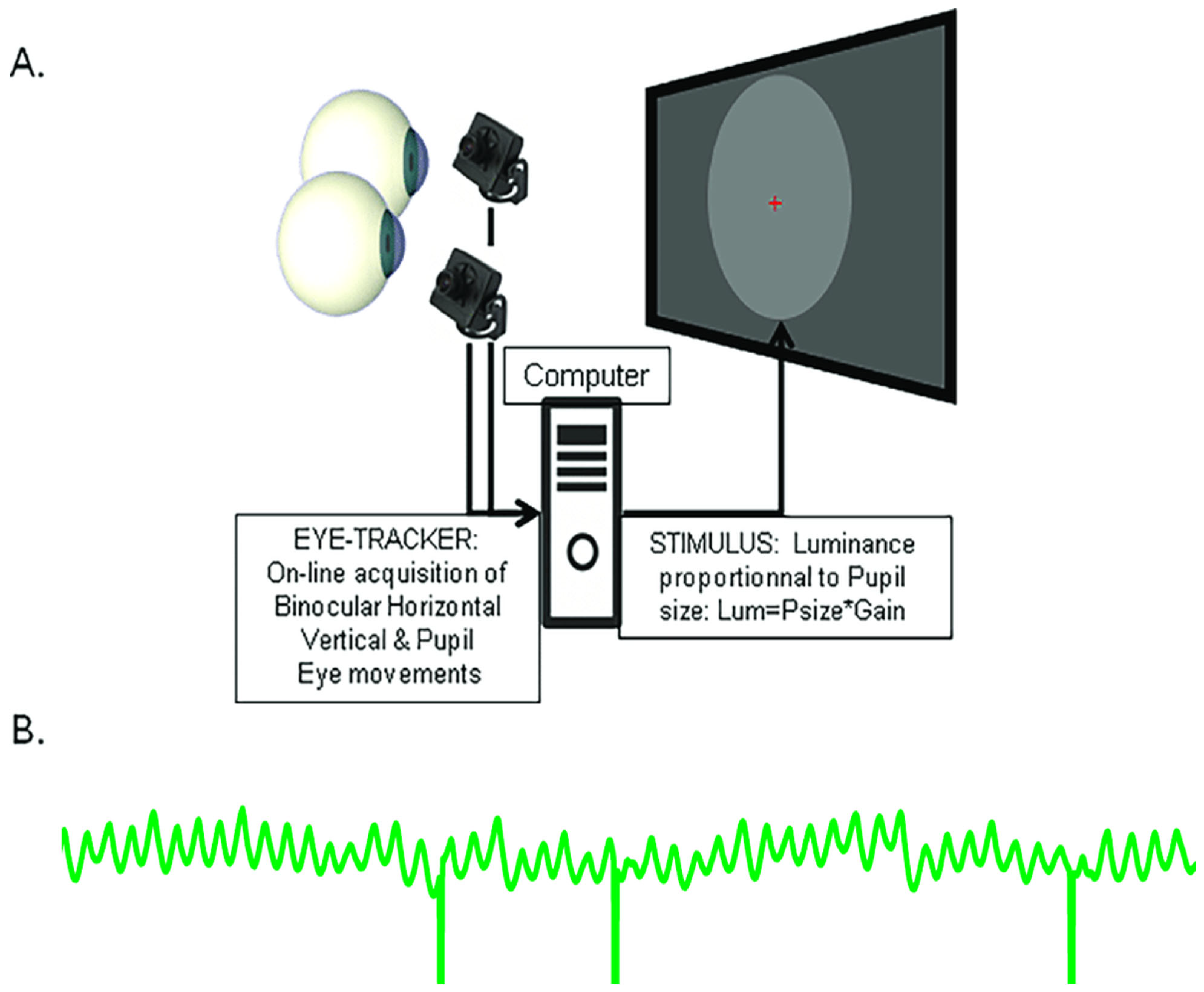Vision 09 00051 g002