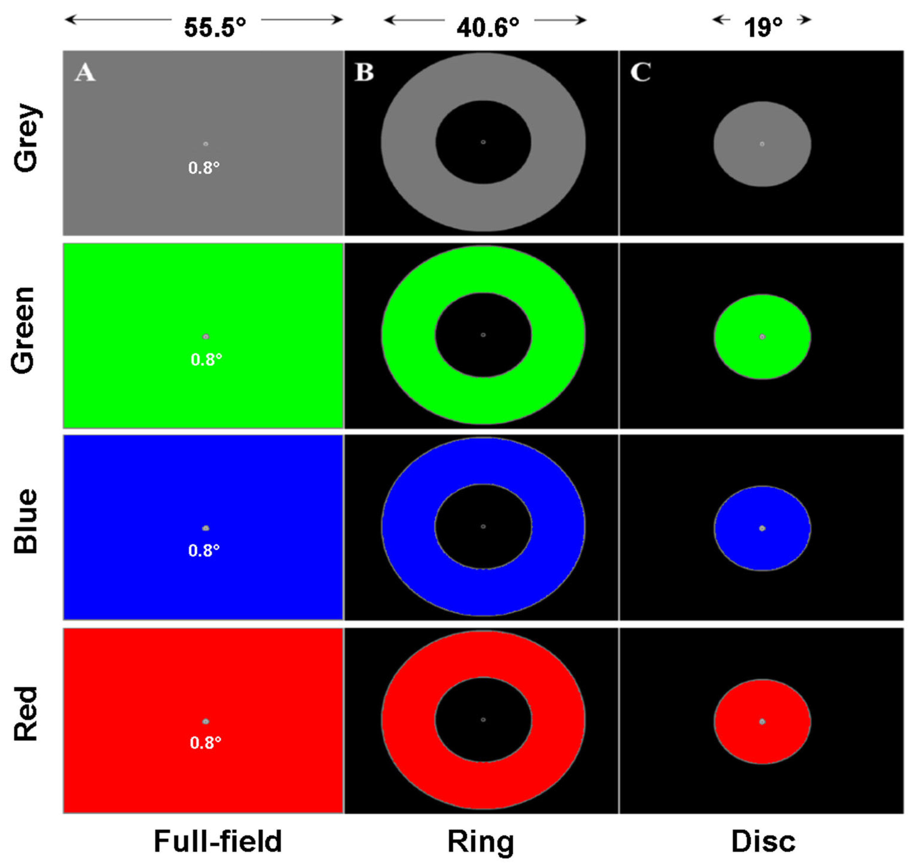 Vision 09 00051 g009