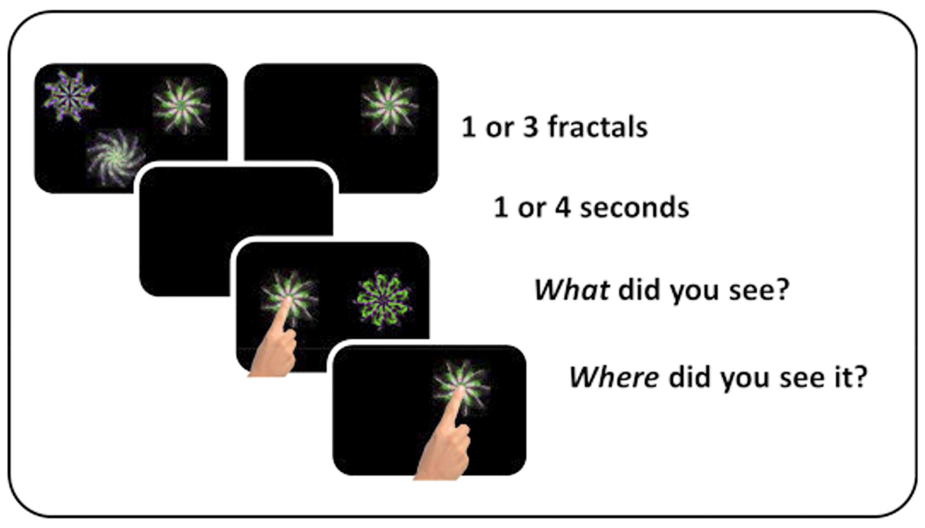 Vision 09 00053 g001